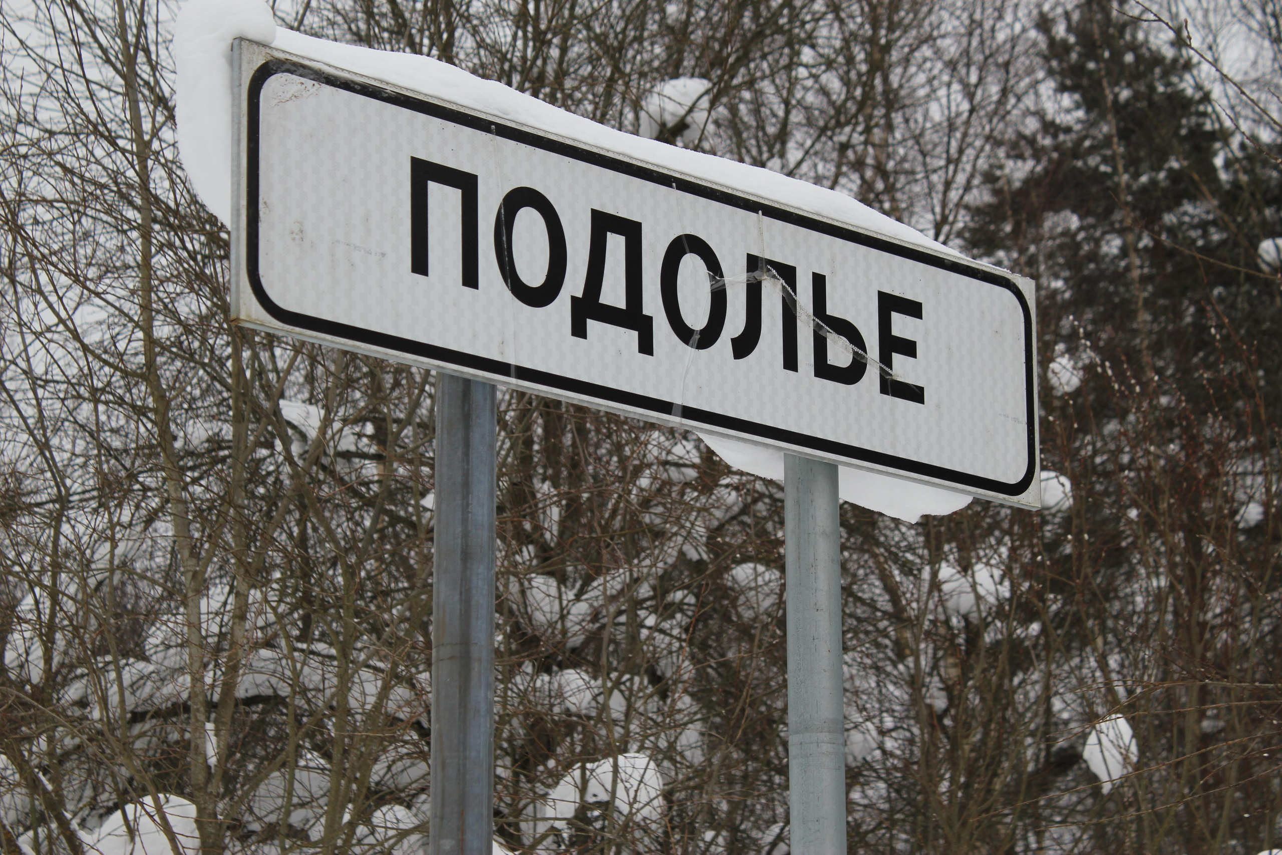 Деревня Подолье. История Назиевского городского поселения