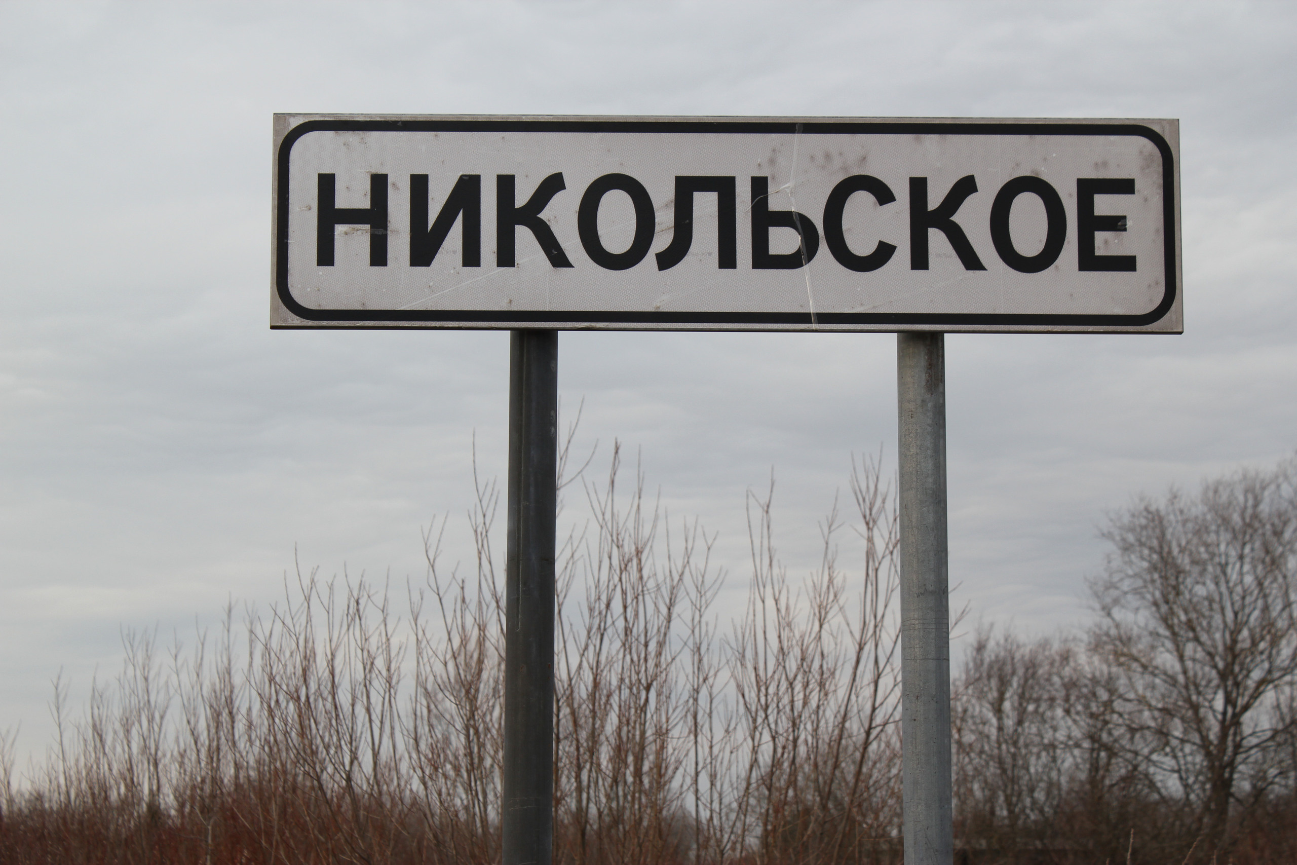 Деревня Никольское. История Назиевского городского поселения