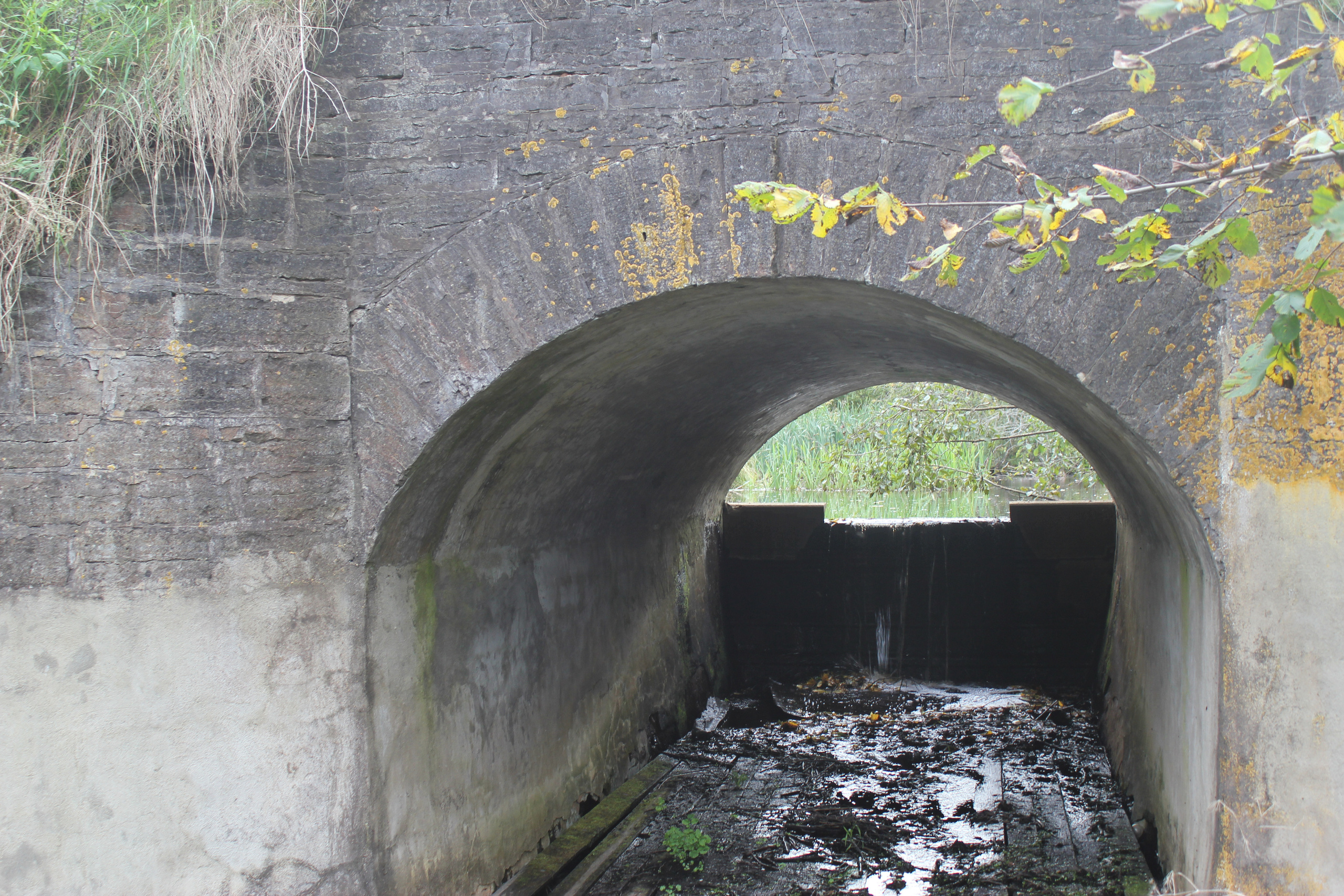 Фотографии моста в настоящее время. История Назиевского городского поселения