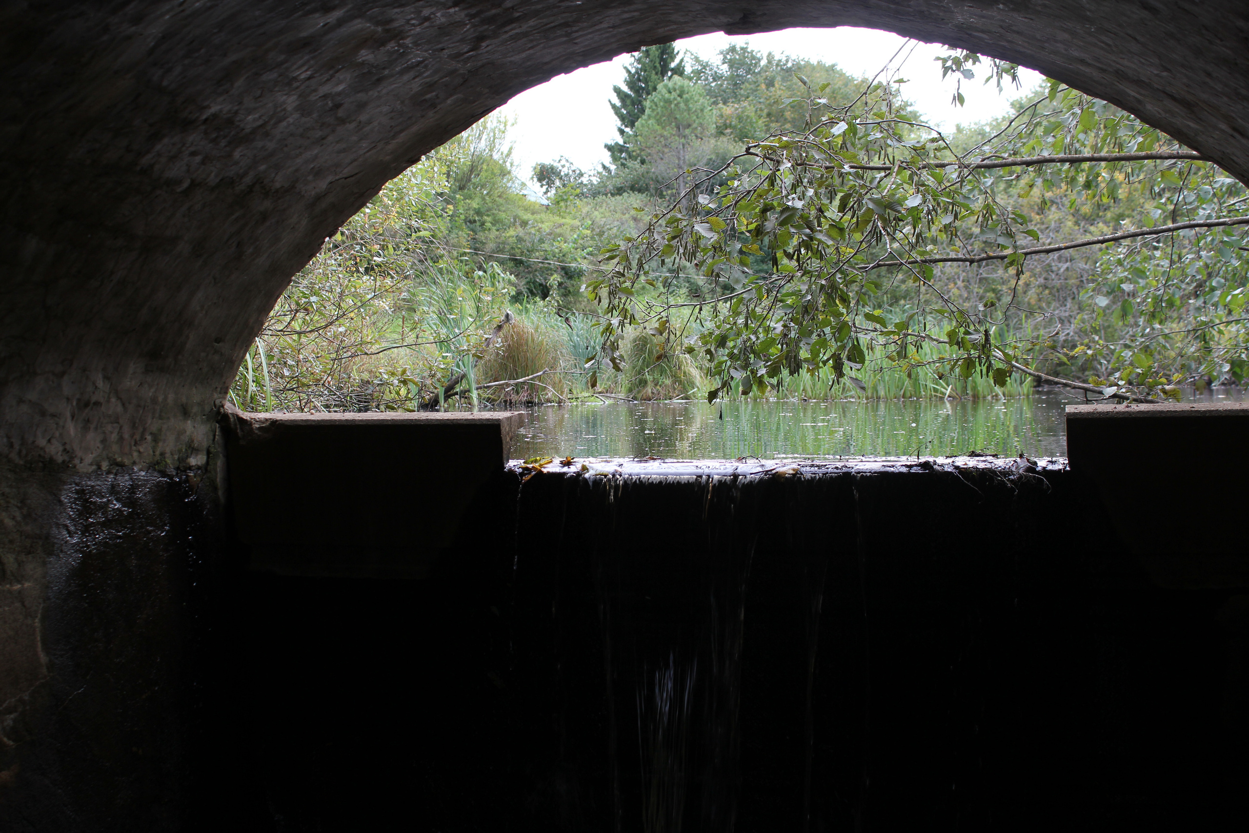 Фотографии моста в настоящее время. История Назиевского городского поселения