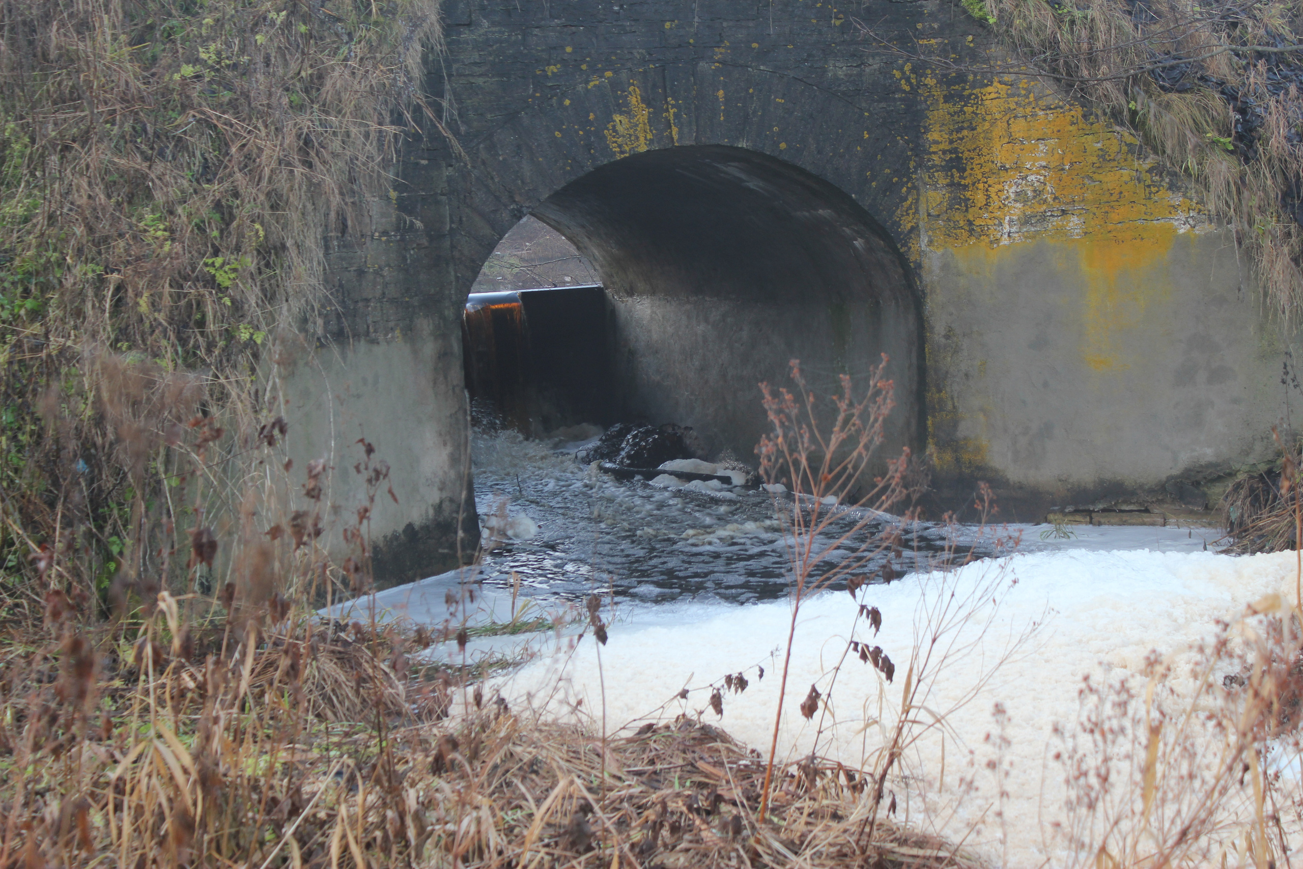 Фотографии моста в настоящее время. История Назиевского городского поселения