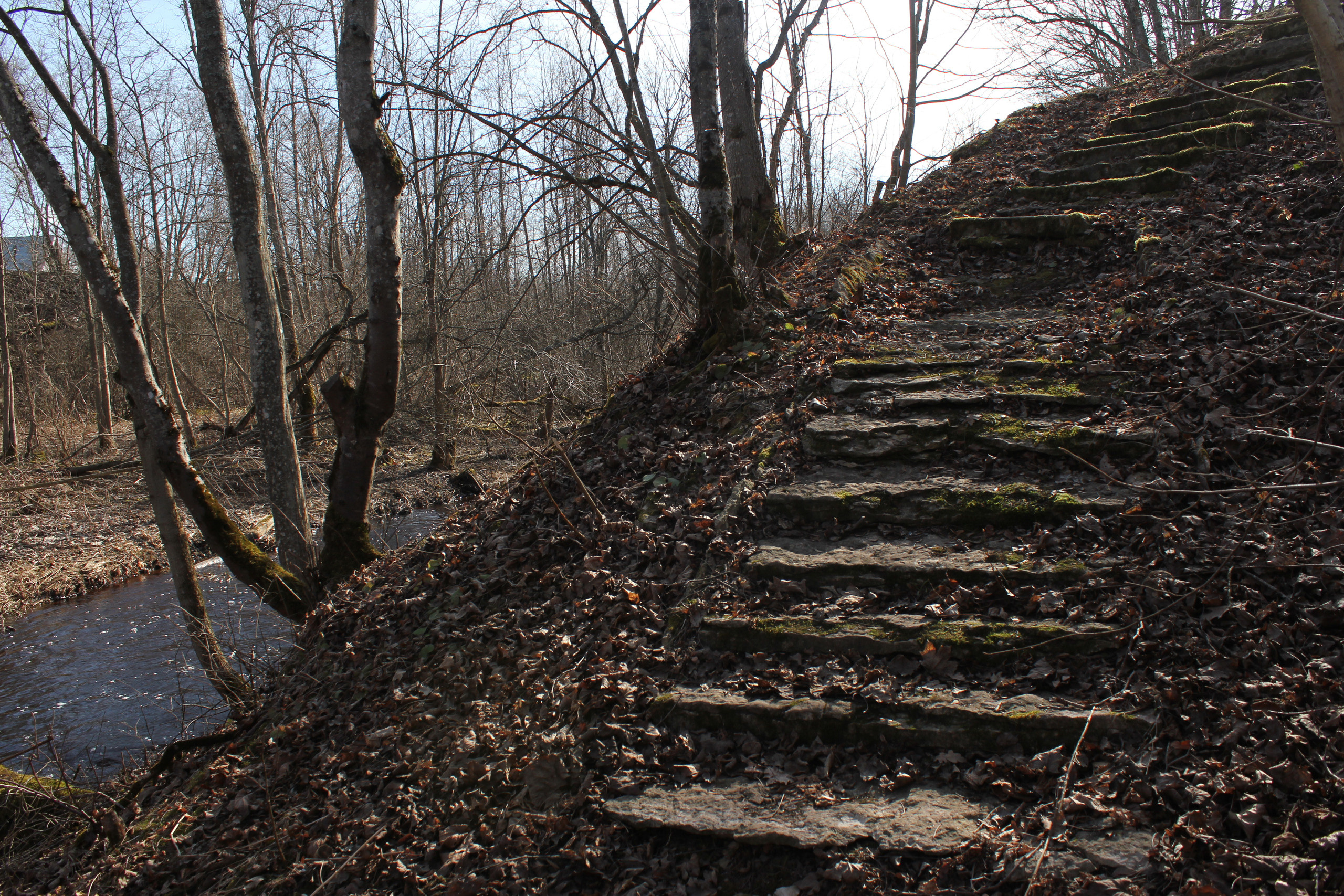 Деревня Сассары. История Назиевского городского поселения