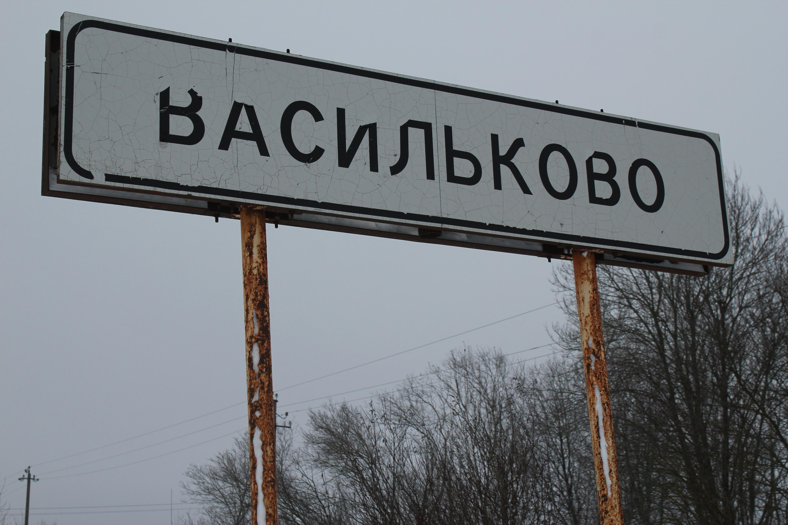 Деревня Васильково. История Назиевского городского поселения