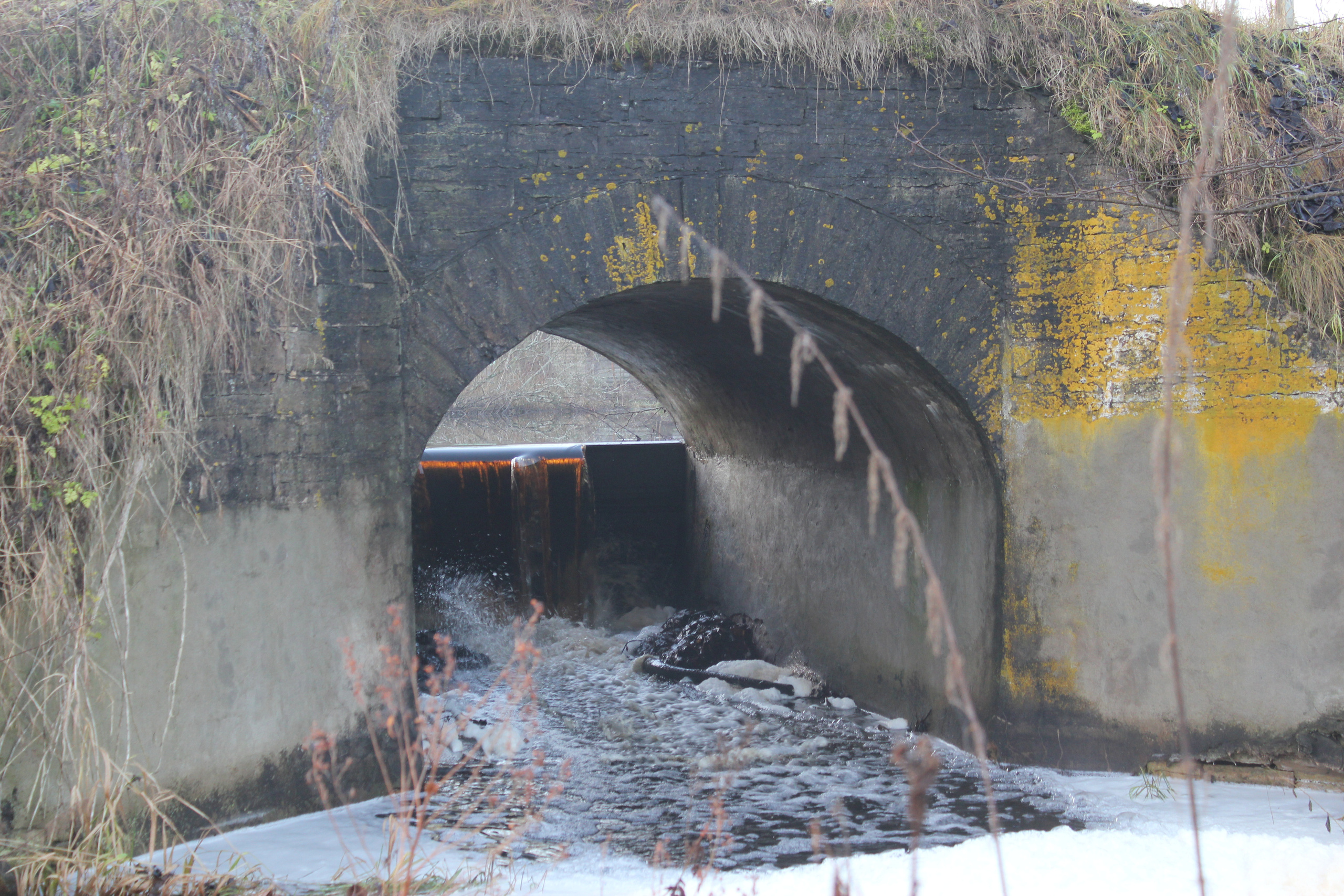 Фотографии моста в настоящее время. История Назиевского городского поселения