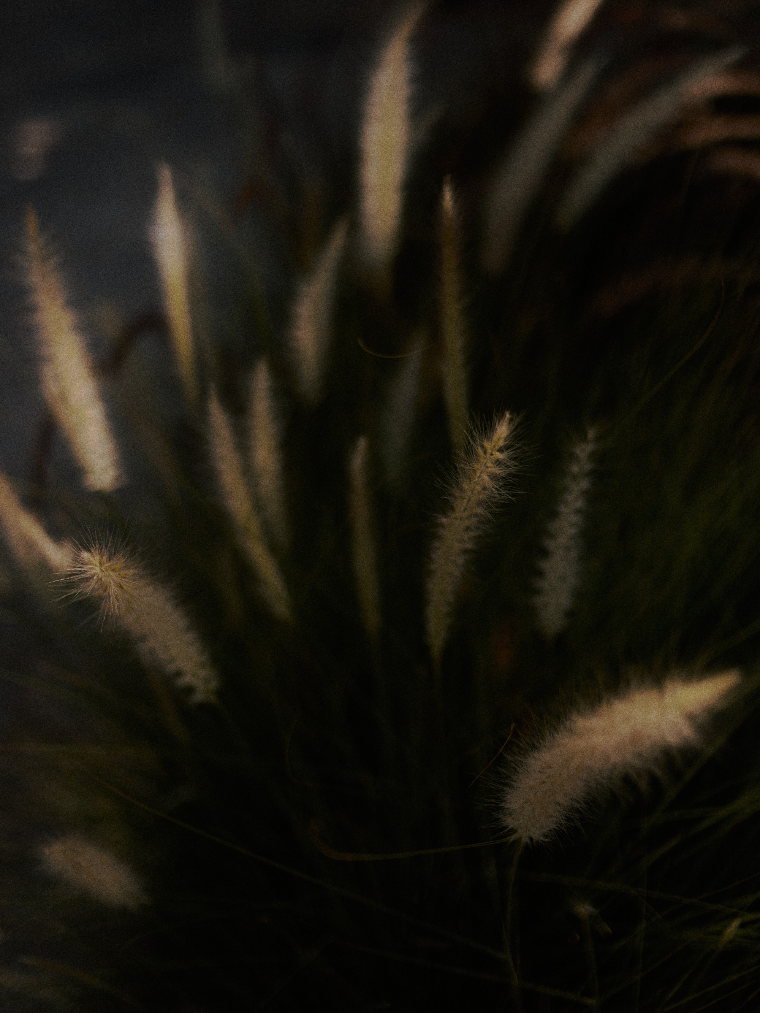 Диптих. Jorgis — фотограф в Хургаде / обучение фотографии