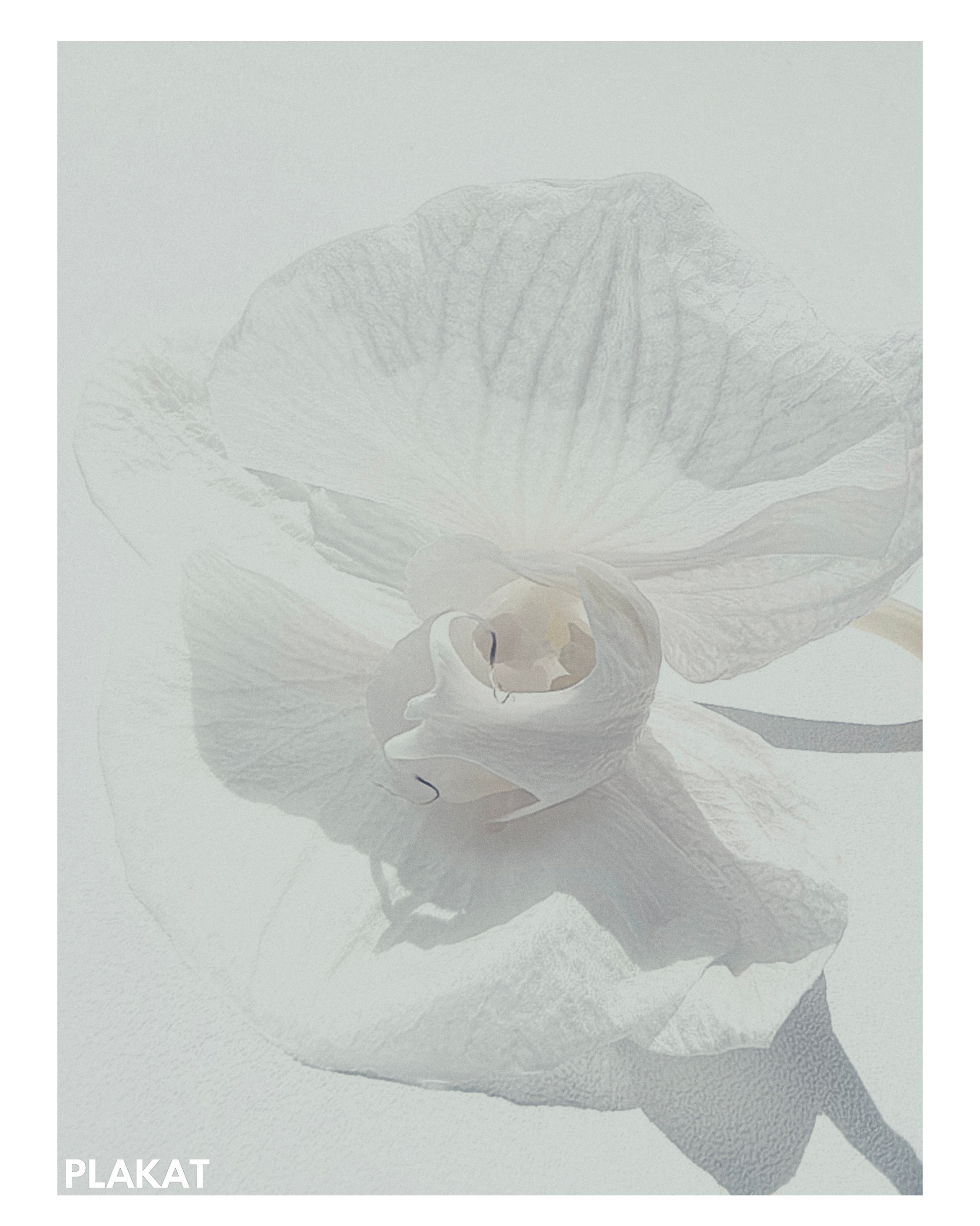 @natalliya_zhukovskaya