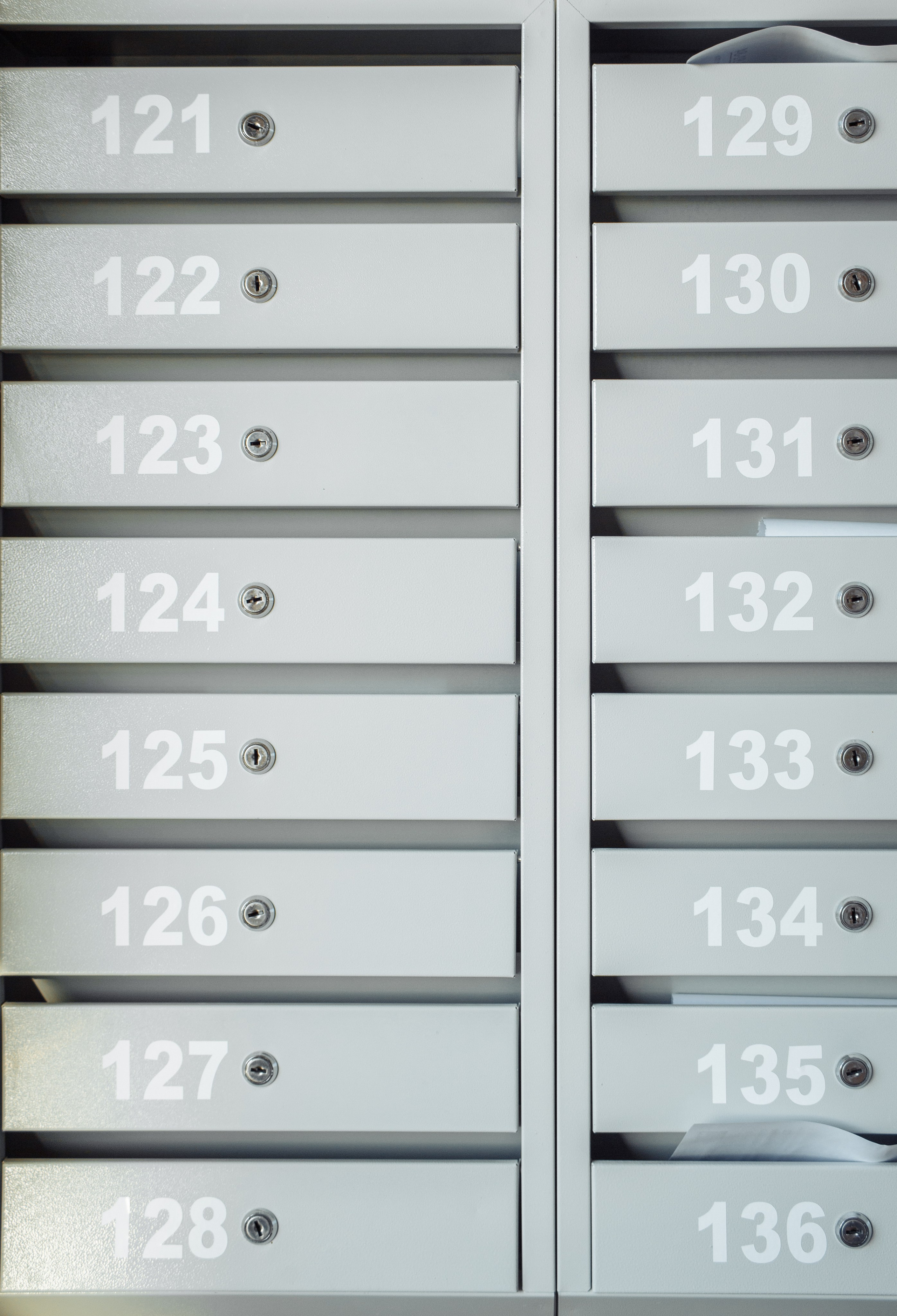 Дарья. Риелтор. Репортажный, семейный фотограф из Нефтеюганска