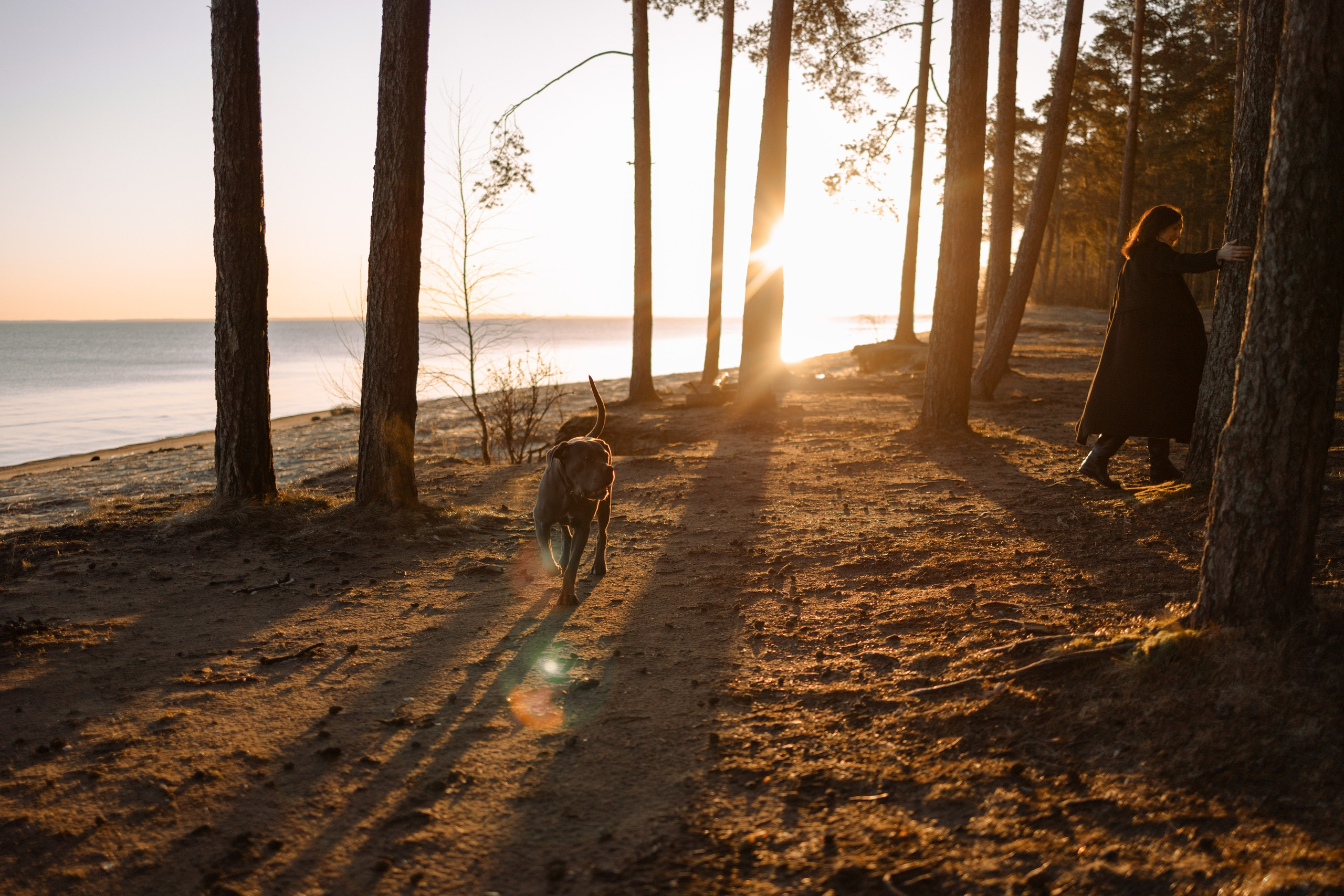 Анна и Лана. Фотограф — Анималист | Санкт-Петербург