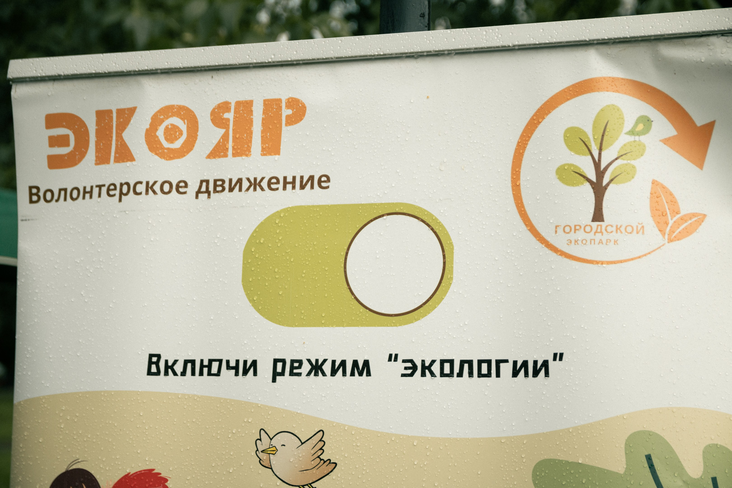 ЭкоФест 2024. Фотограф в Ярославле Никита Зайцев