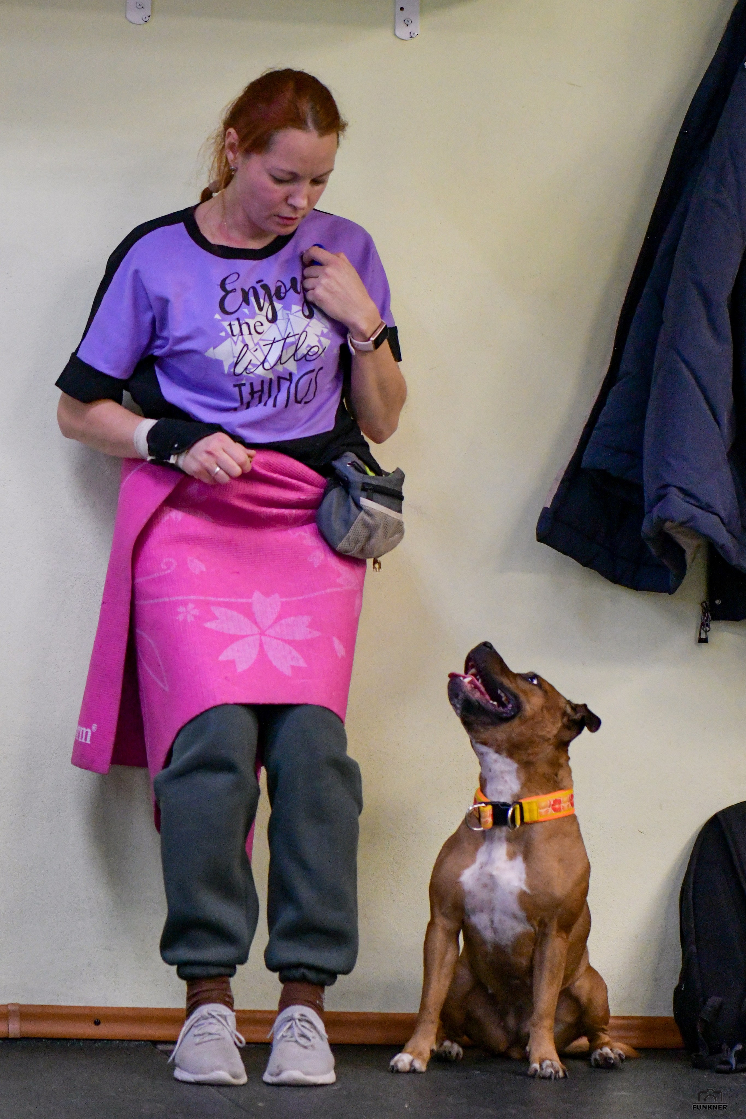 Кинологический клуб «Бодрый хвост». Свой взгляд через объектив