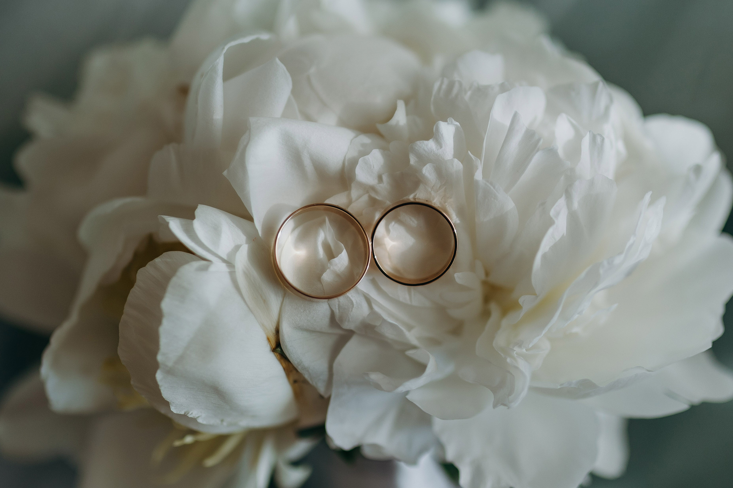 Wedding day 08.05.24. Свадебный фотограф в Санкт-Петербурге