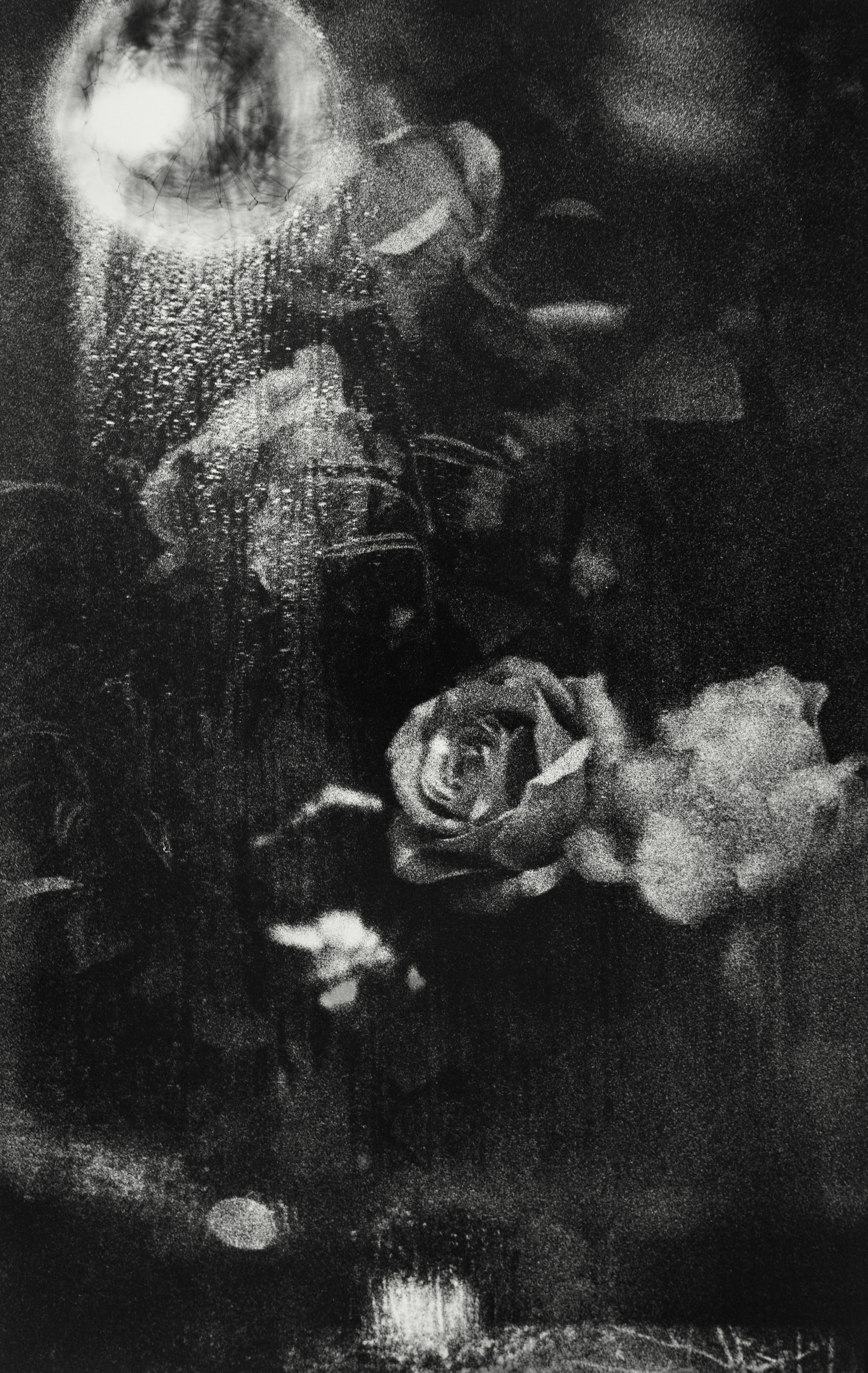 Аналоговая фотография и ручная печать. Фотохудожник Дарья Берг в Санкт-Петербурге и Москве