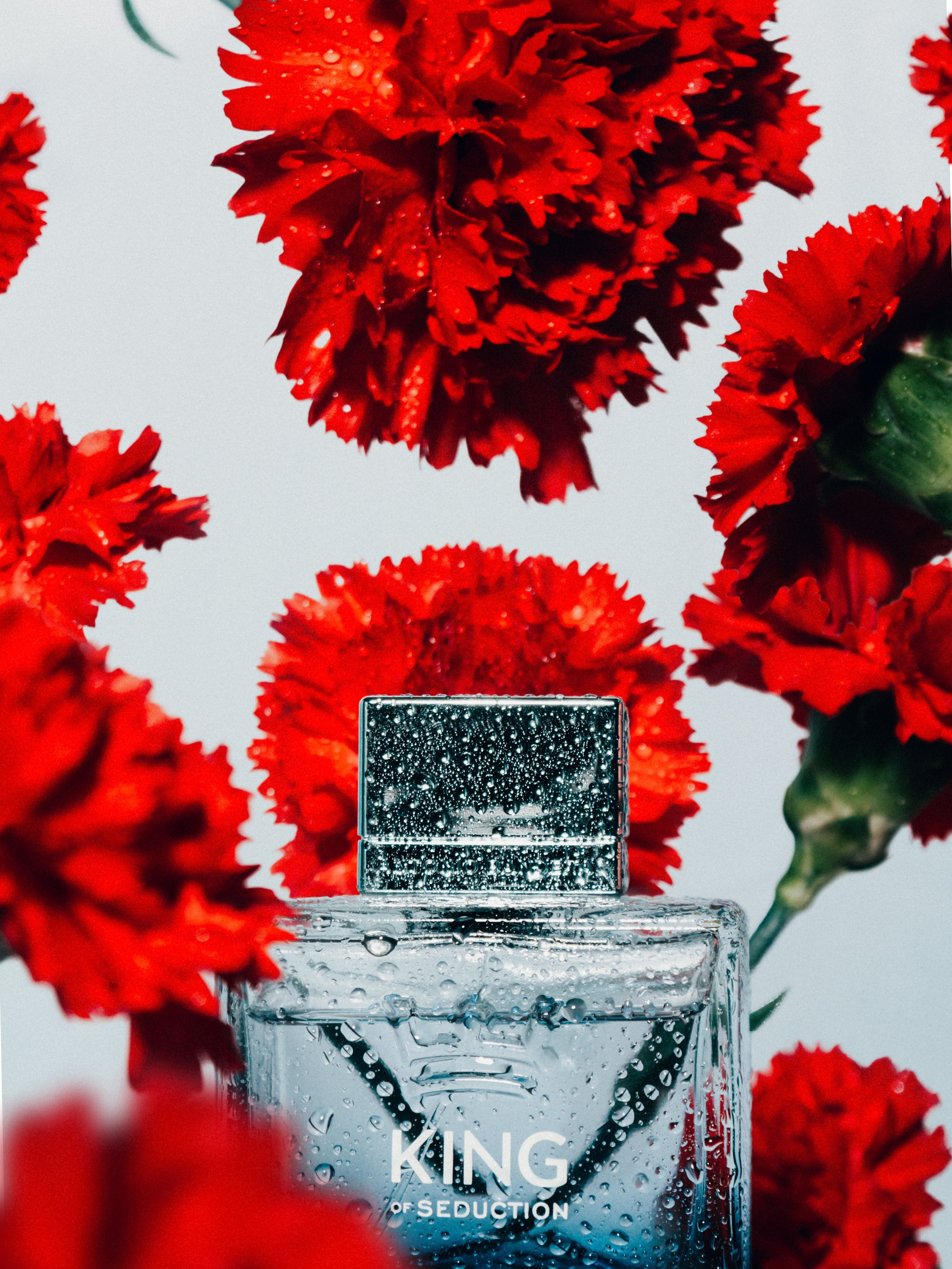 Flowers. Фотограф Ярославль Евгений Хайлов | Арт-фотосессии и креативная съёмка в Ярославле