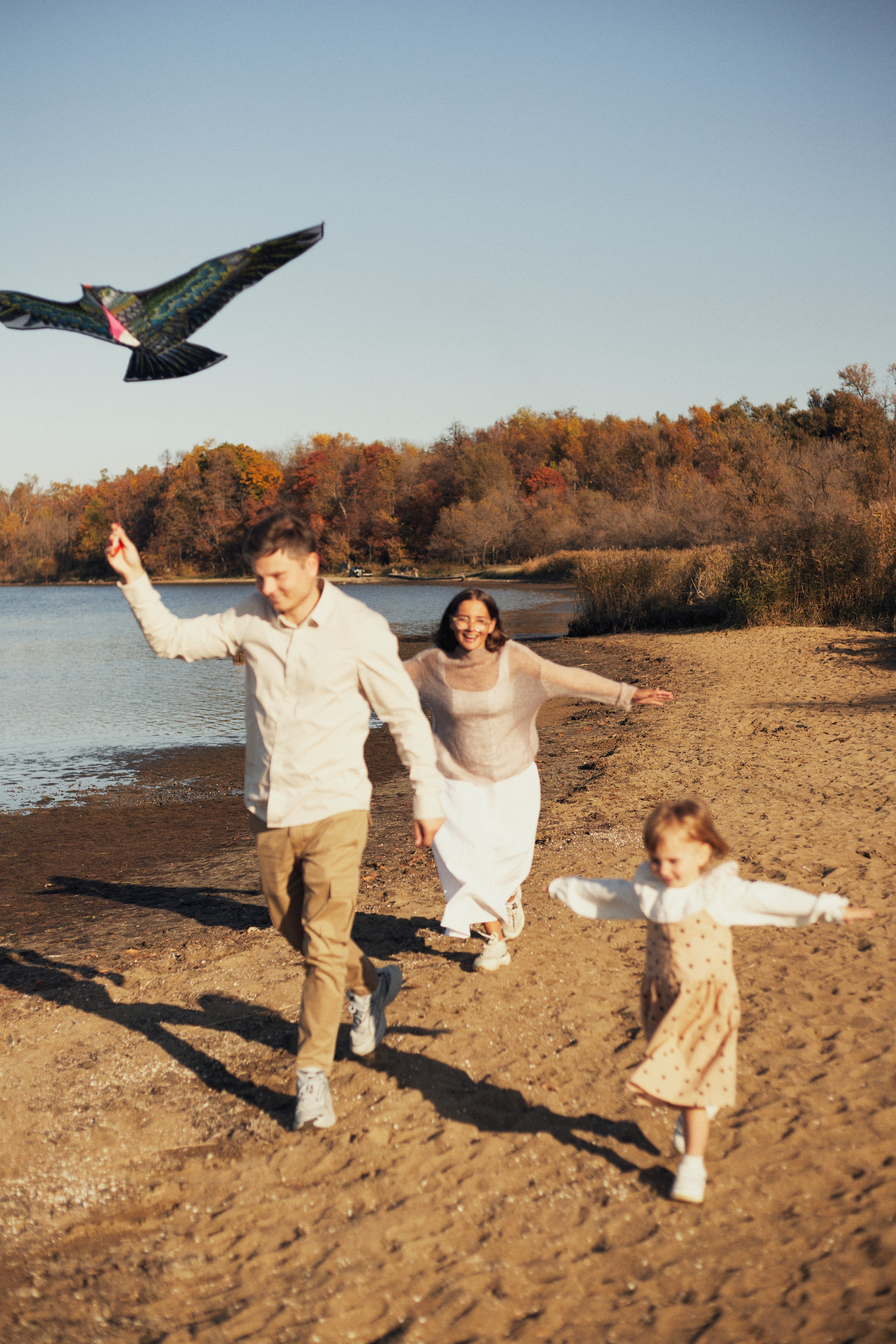 Летели высоко, летели далеко. Фотограф Ионова Анастасия, г Владивосток