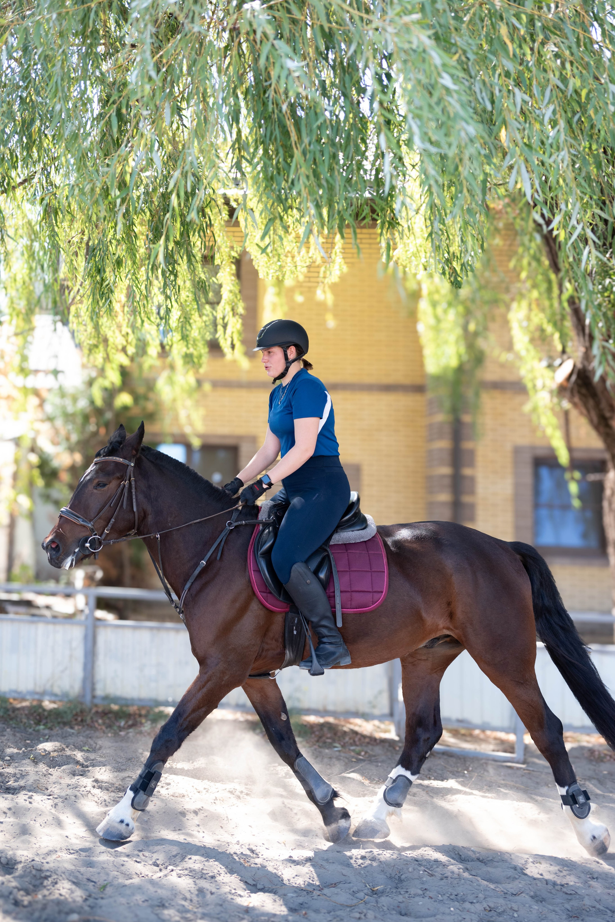 Съёмки с лошадьми. Фотограф Краснодар Наталья Сувит