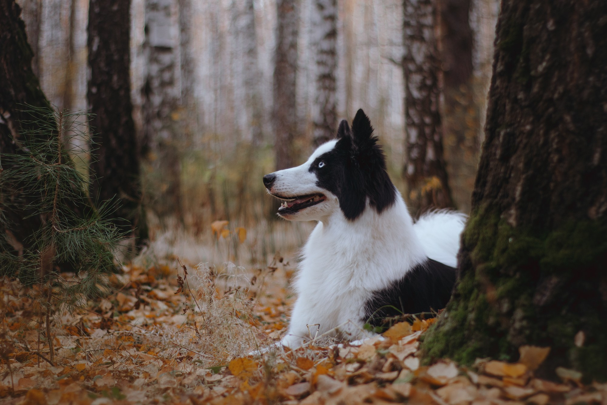Ликёр. Фотограф в Тюмени Лизавета Сапицкая