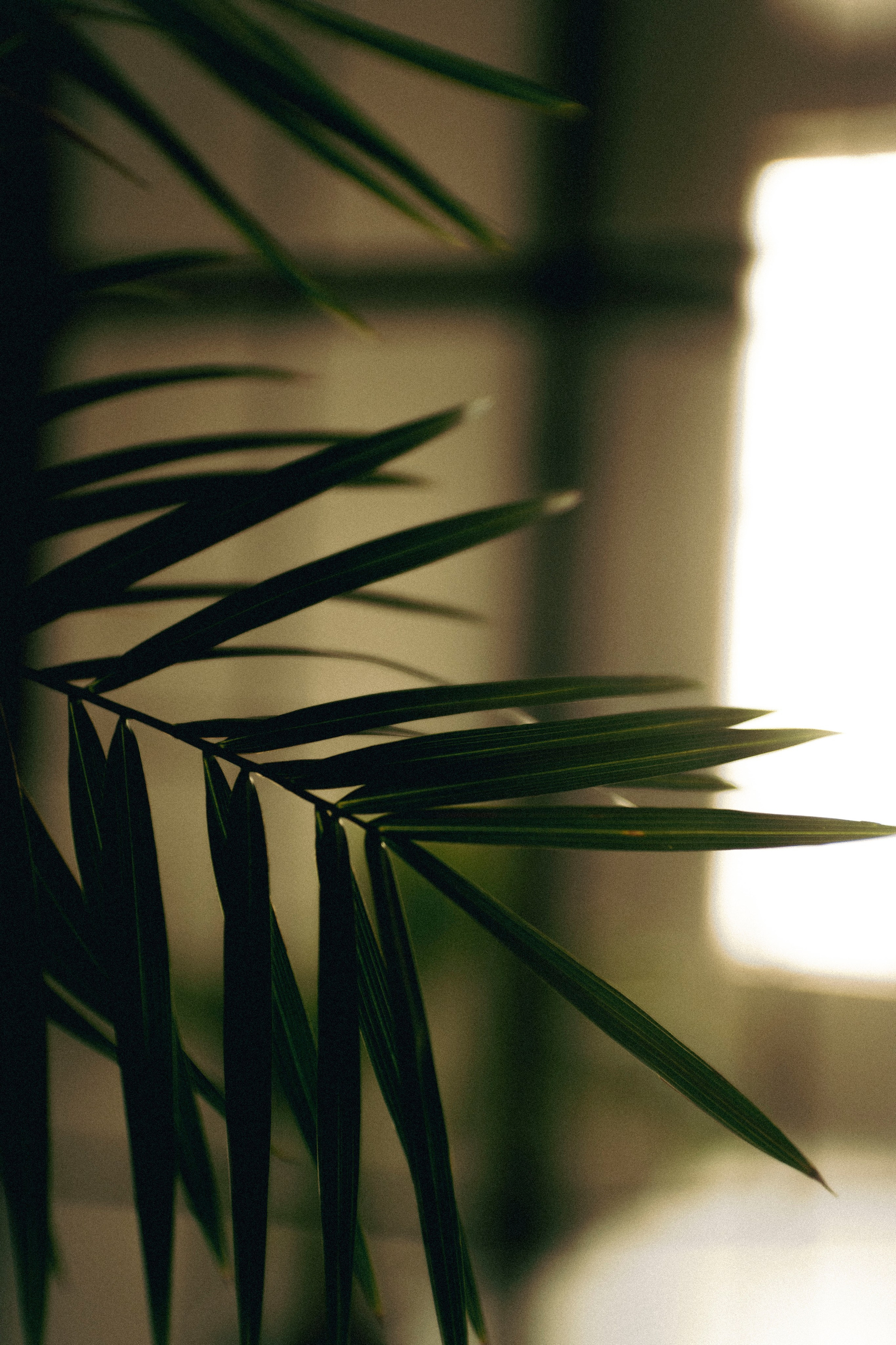 N&Y. Фотограф Димитровград Казань Валерия Владимиркина