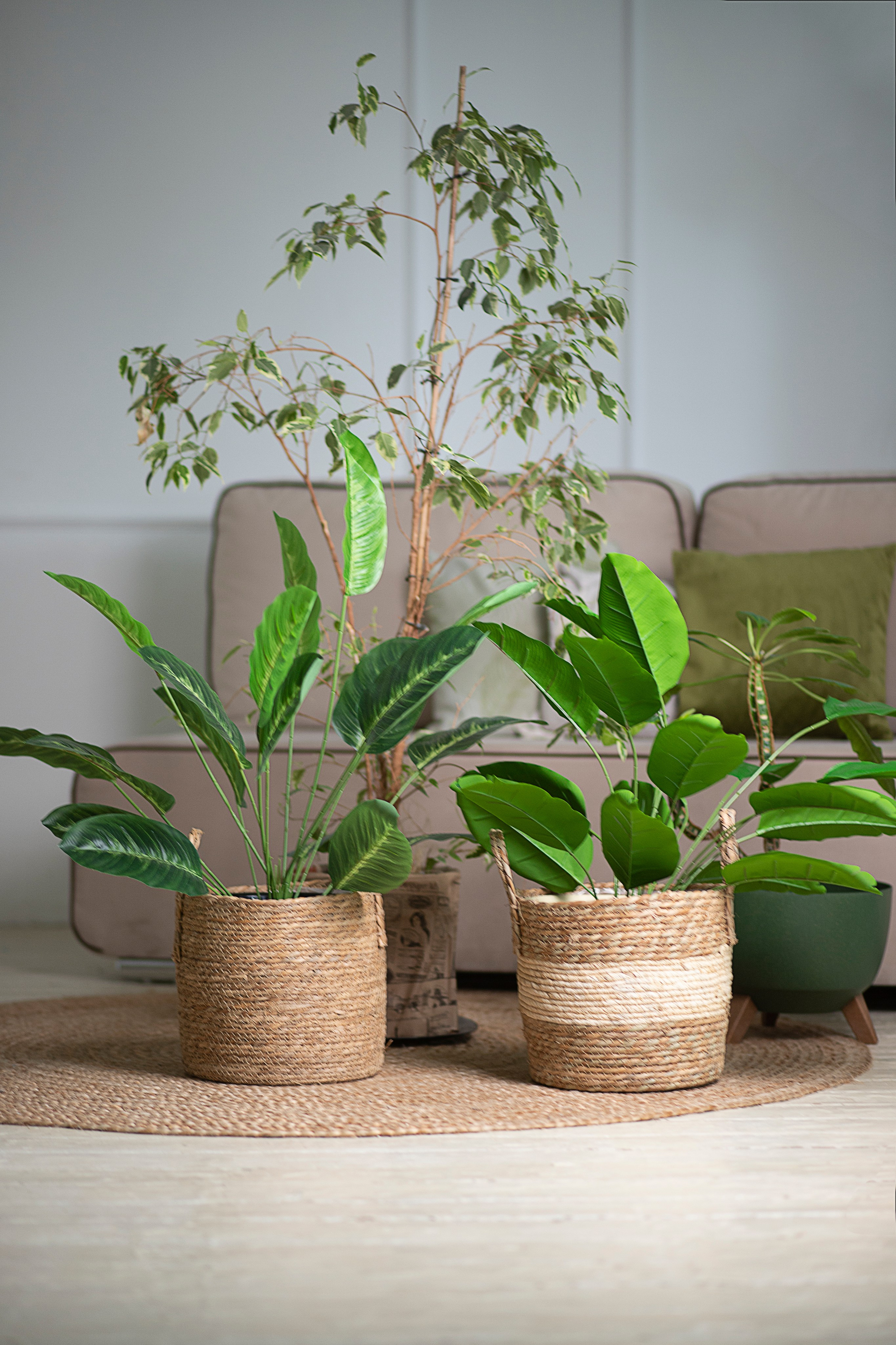 Маркетплейс. Фотограф Пушкино и Москва Анастасия Коган