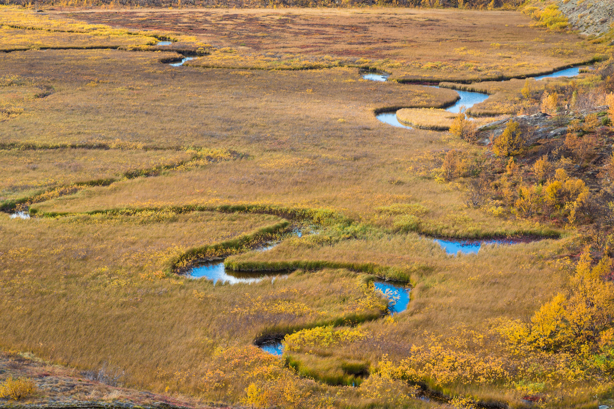 Тундра Лес и Сопки. Пейзажи Крайнего Севера. Баренцево море, Рыбачий, Средний, Немецкий
