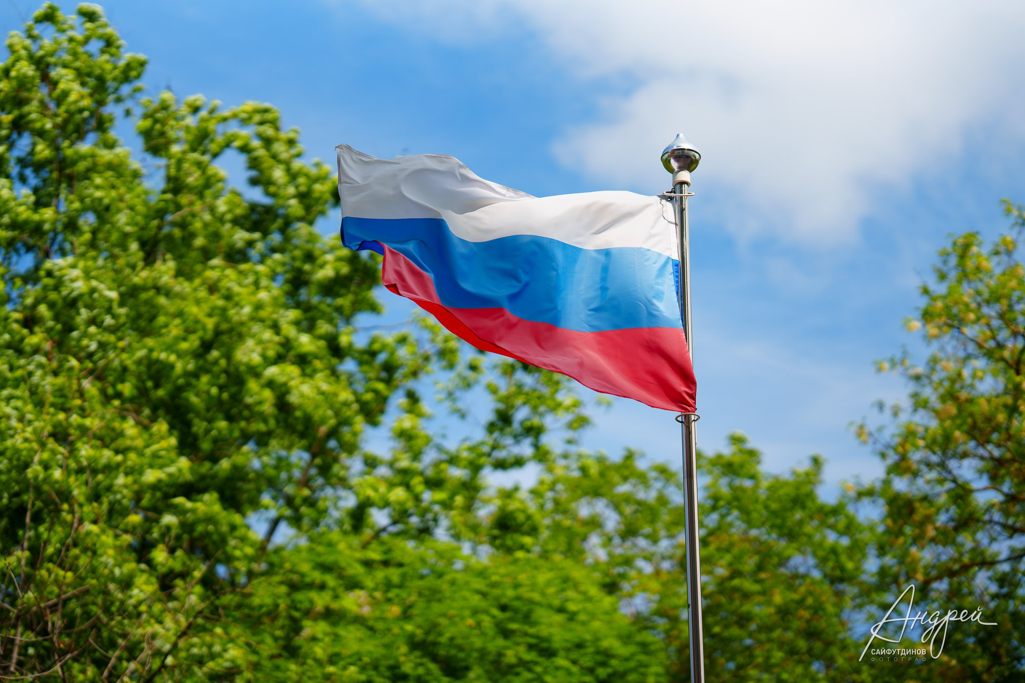 Последний звонок КЭО. Свадебный и семейный фотограф в Ростове-на-Дону. Андрей Сайфутдинов