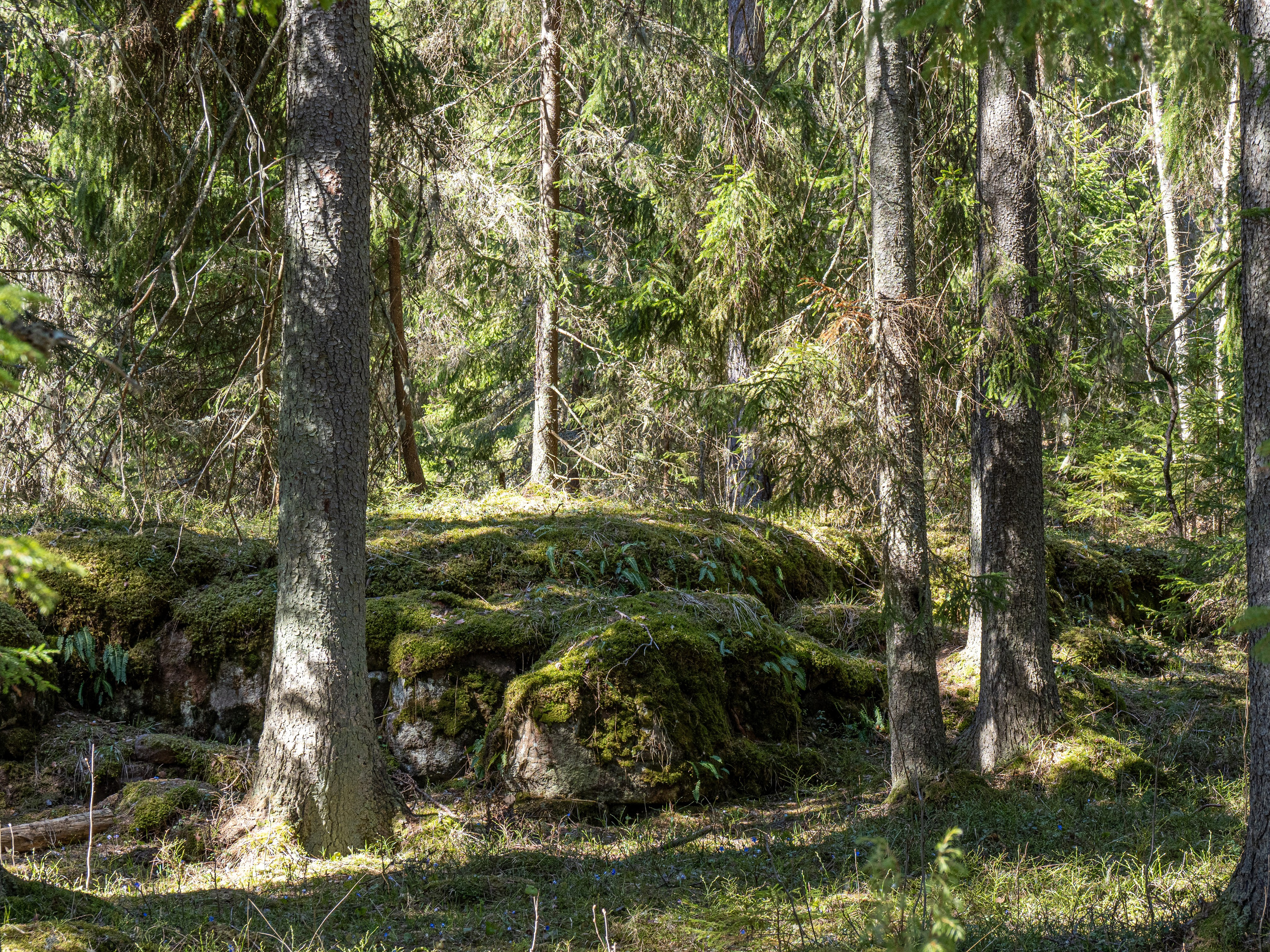 Кронштадт-Сортавала-Валаам-Выборг. Творческие сьемки