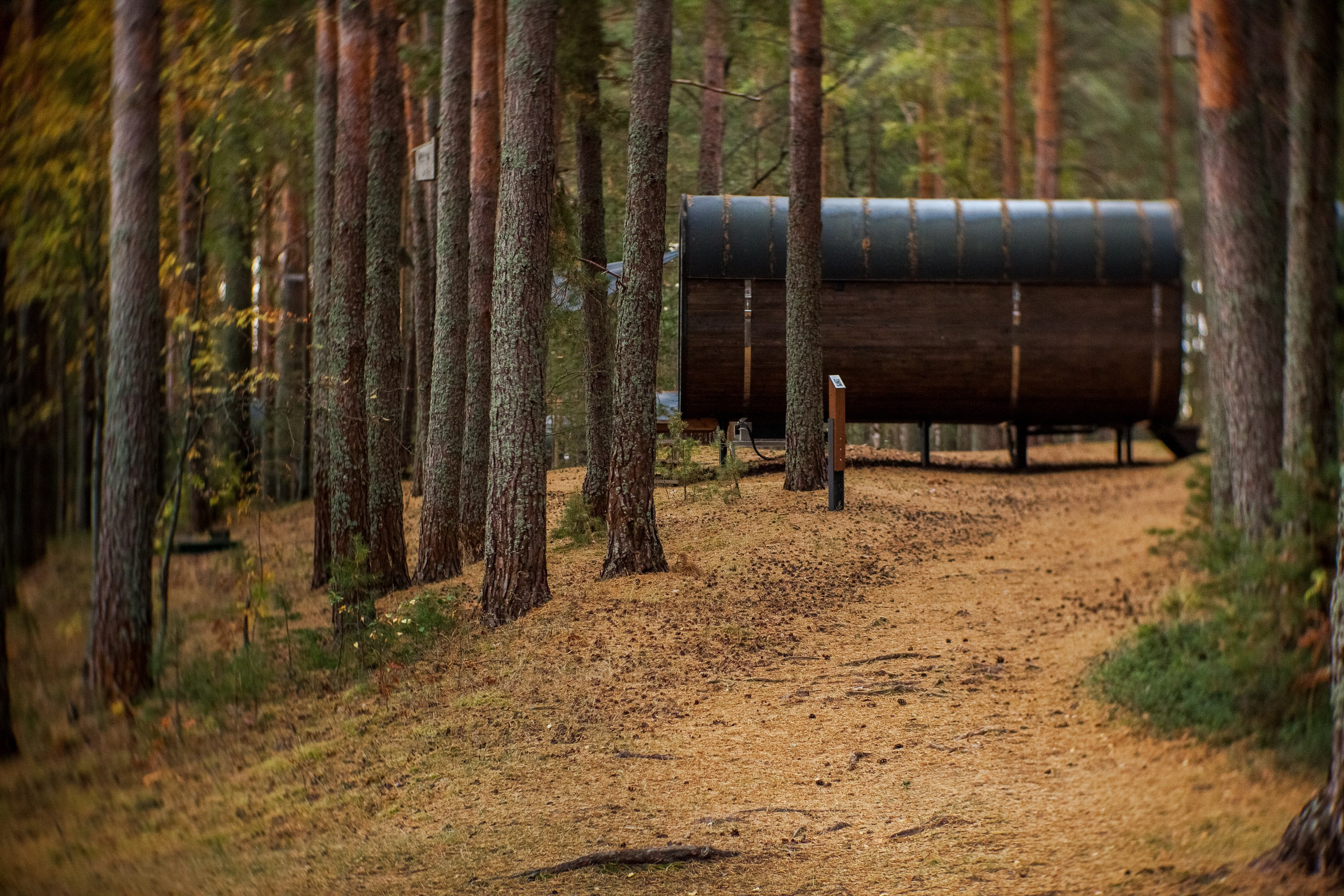 Остров «Свободы». Туманов Виталий — фотограф Москва
