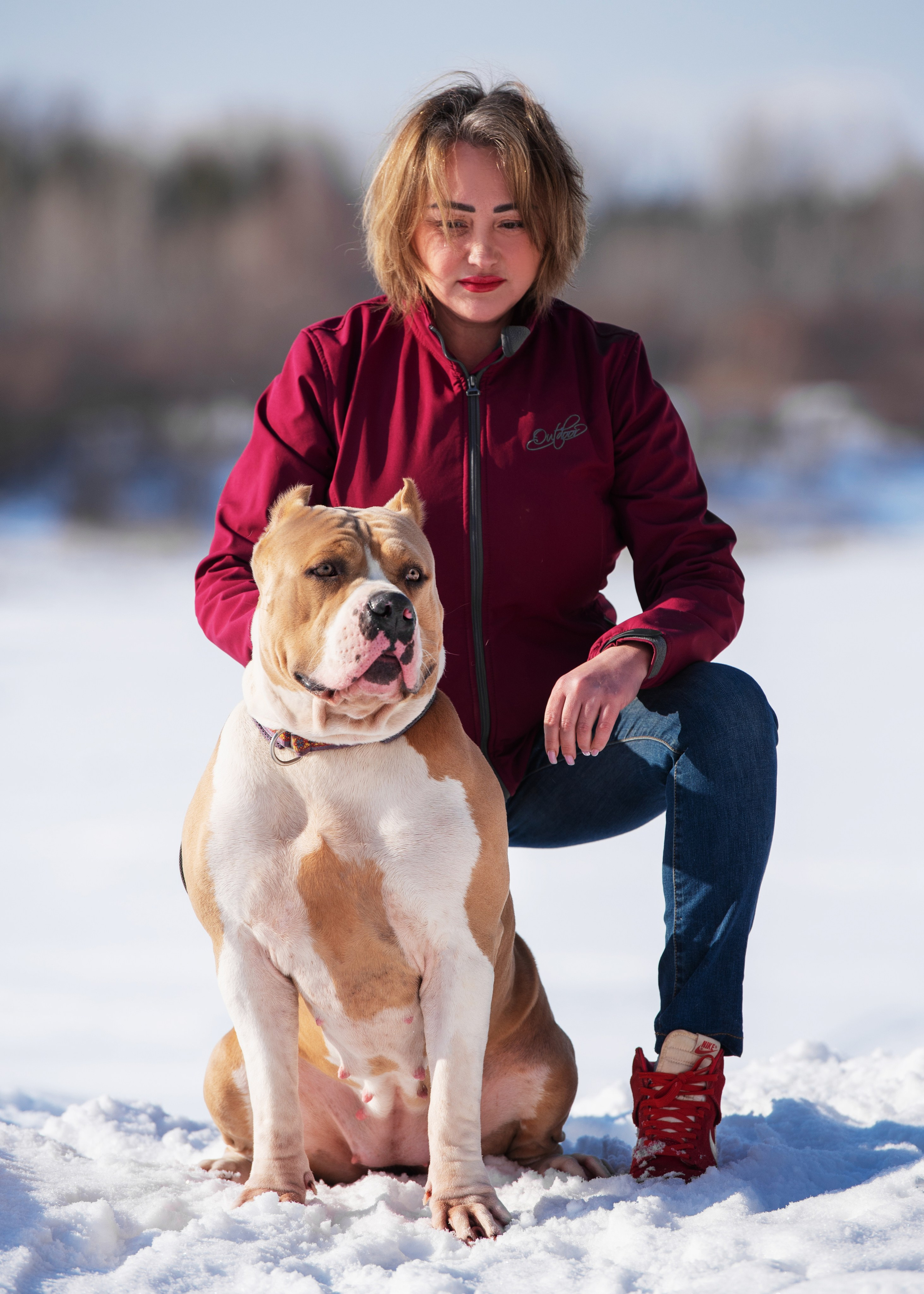 Булли. Дог-фотограф в Тюмени Александра Королева