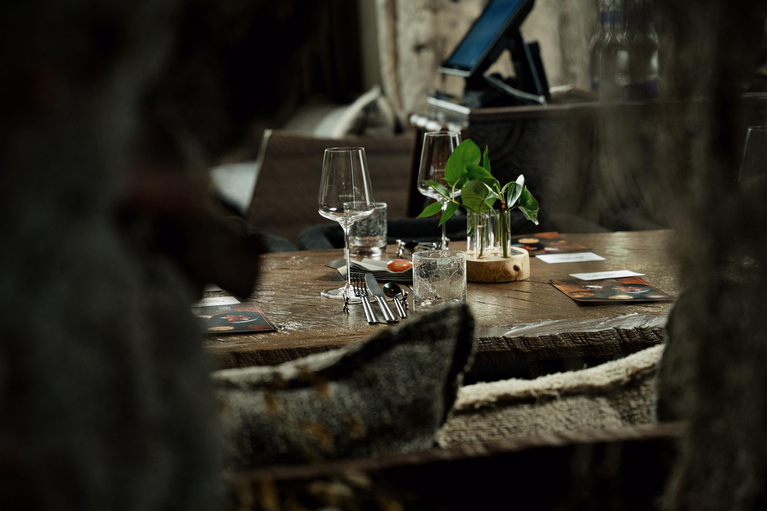 MAYR VEDA. Yankovski_001