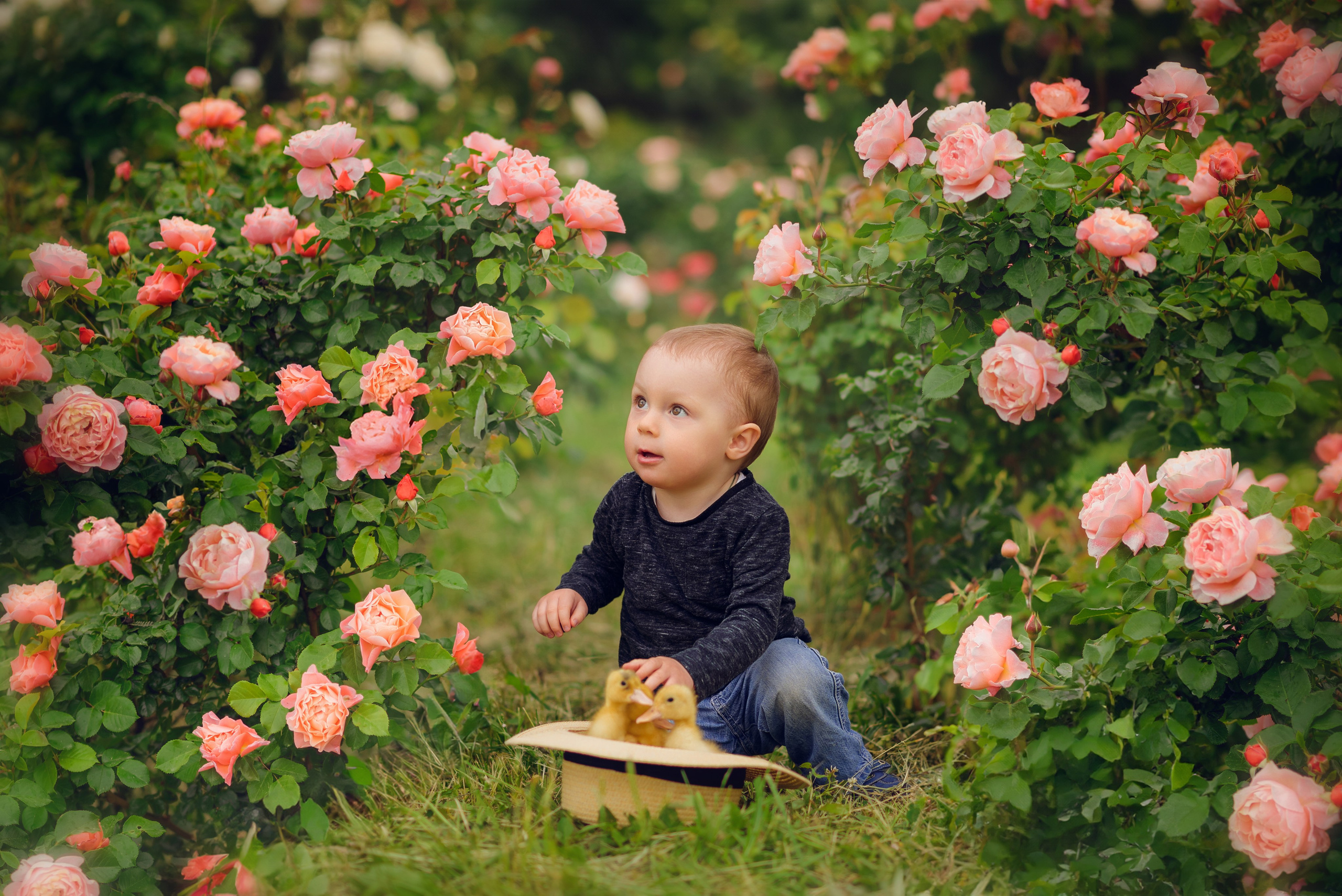 В розах. Семейный фотограф в Краснодаре