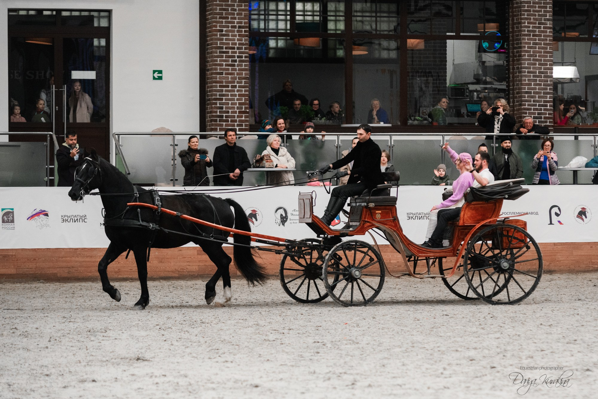 8-я международная выставка Конная Россия. Конный фотограф Куракина Дарья • Фотосессии с лошадьми