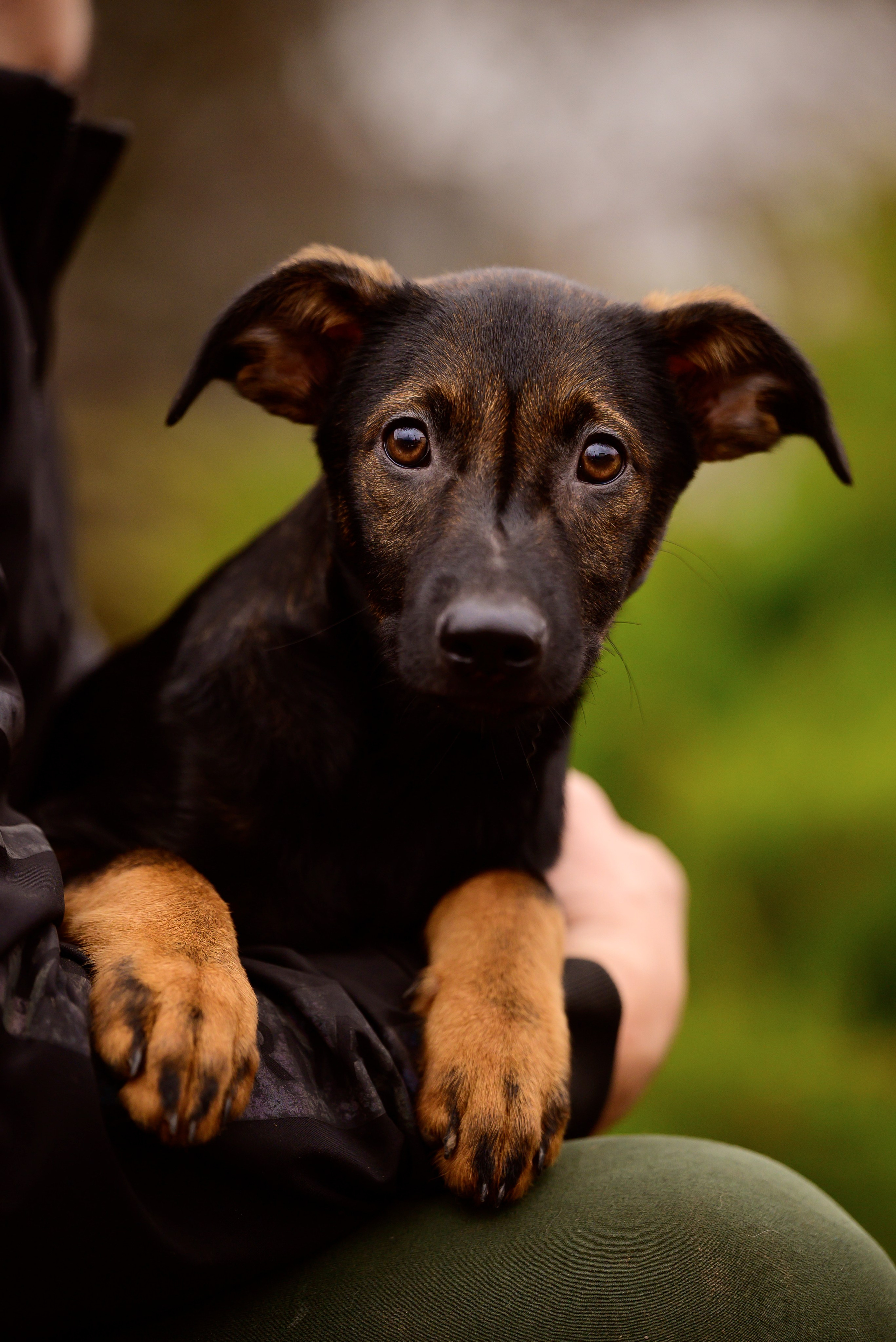 Круассанчики. Мила Астахова