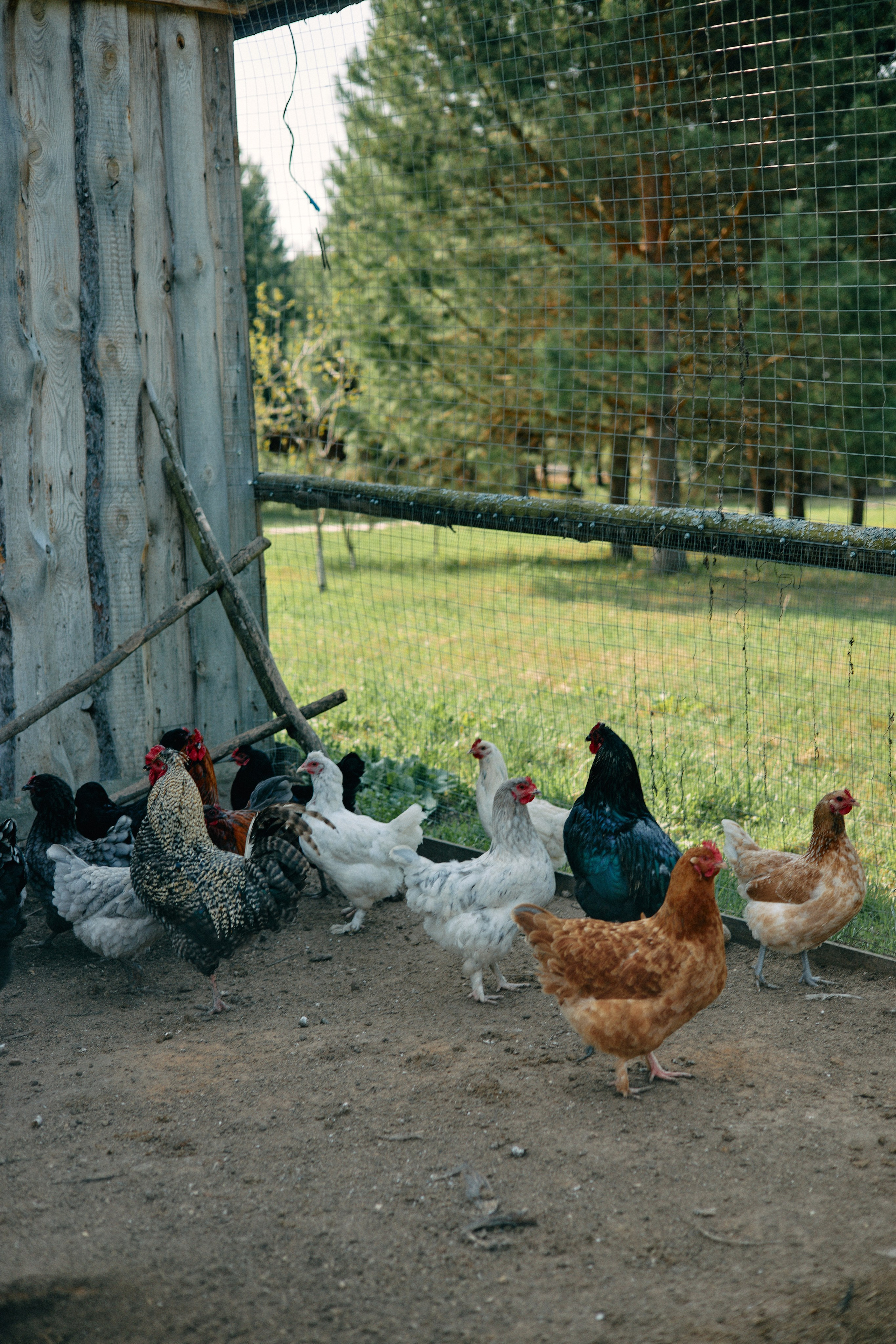 Бутик-отель Поле летом. Профессиональный Фотограф во Владимире, в Москве и в Суздале — Полина Романычева