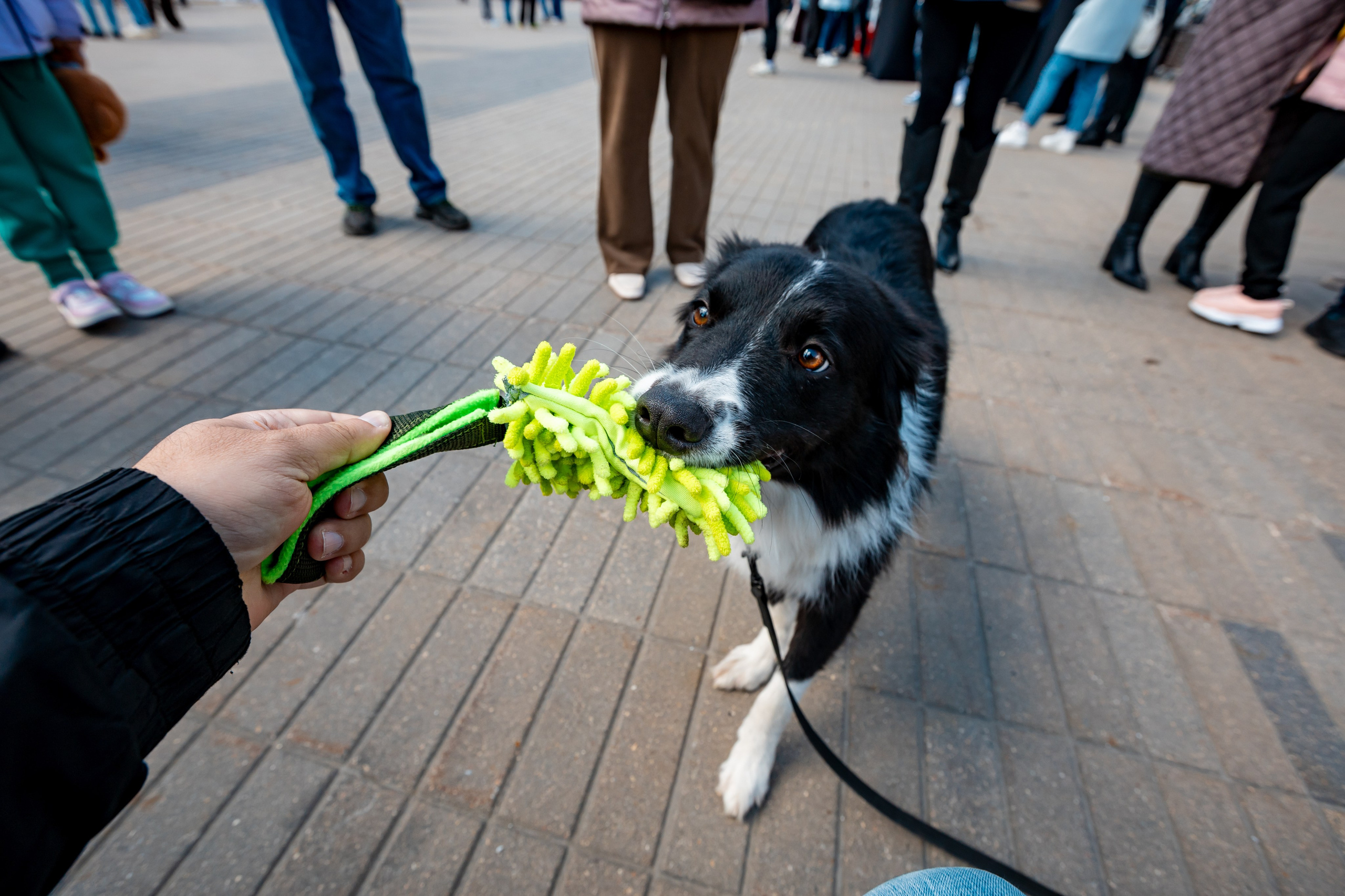 Репортажная съемка в Воронеже. Марк Шишкин — репортажный фотограф в Воронеже и России