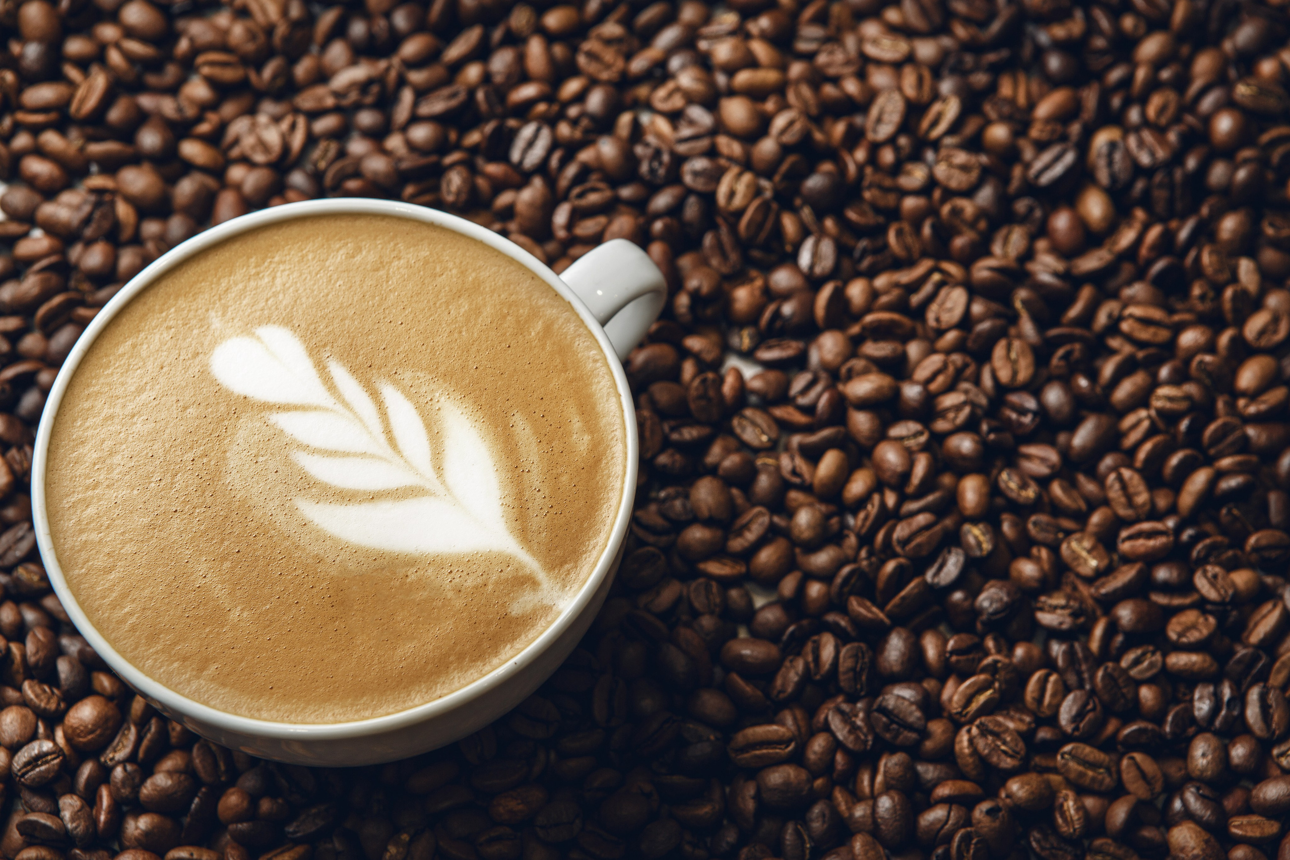 ФОТОСЪЁМКА С ИСПОЛЬЗОВАНИЕМ РЕКВИЗИТА / ДЕМОНСТРАЦИОННАЯ ПОДАЧА. Ильшат Бикмиев — предметный фотограф. Каталог и рекламная съёмка для бизнеса Алматы. Качественные фото для бизнеса, маркетплейсов интернета