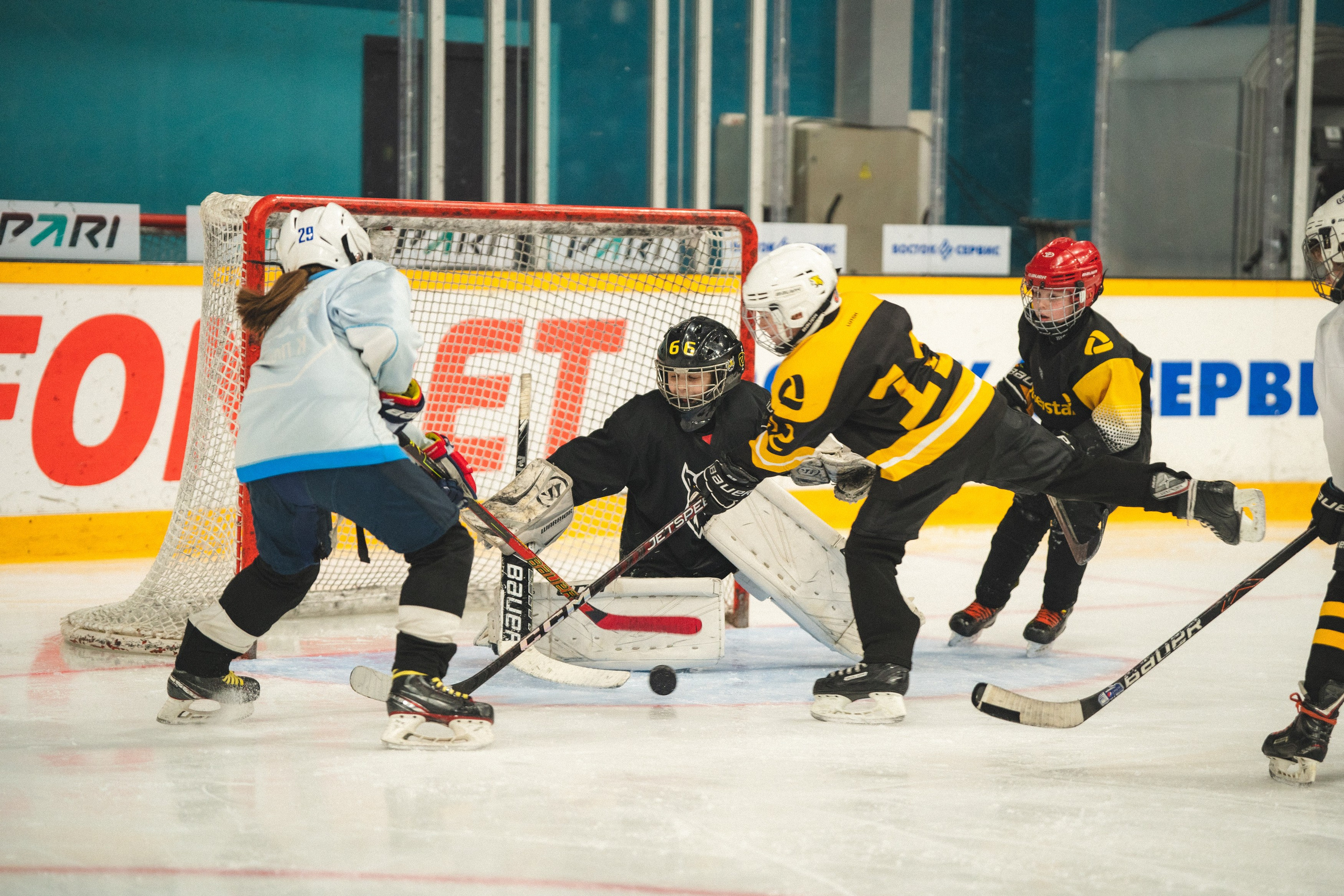 ХК Северсталь (младшая группа). Череповец. Zekons. Фото, видео, нейросети