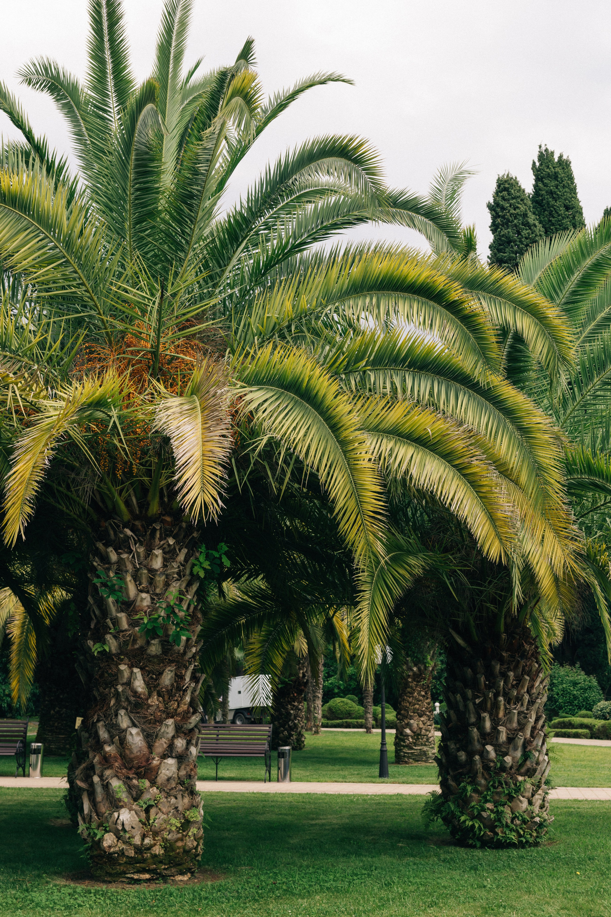 @fruits_family_wedding. Свадебный и репортажный фотограф в Москве Владимир Сергеев | Naysaikolo