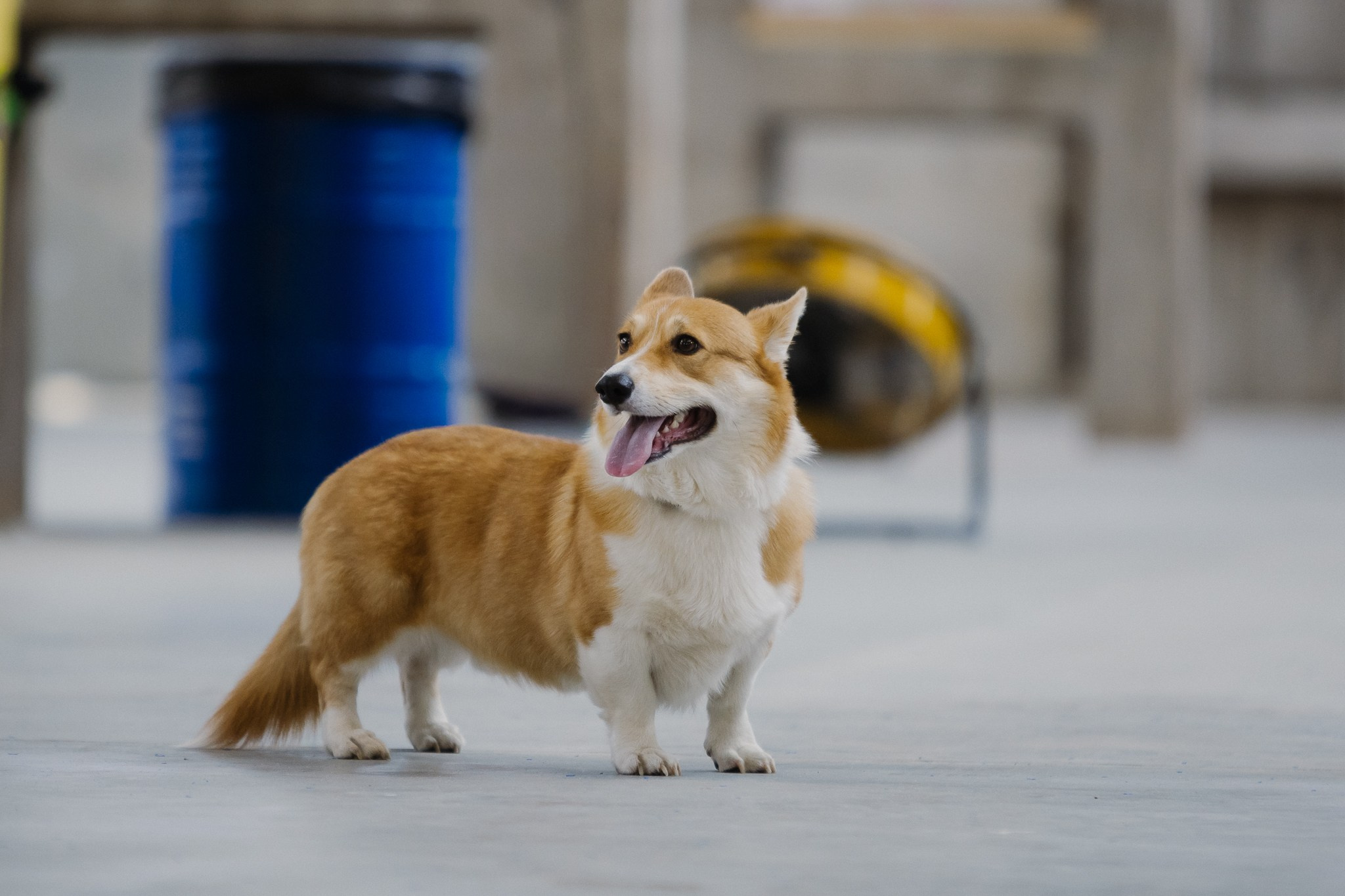 Padel Community Prague | Padel Day. Photographer in Prague Alexander Pivovarov