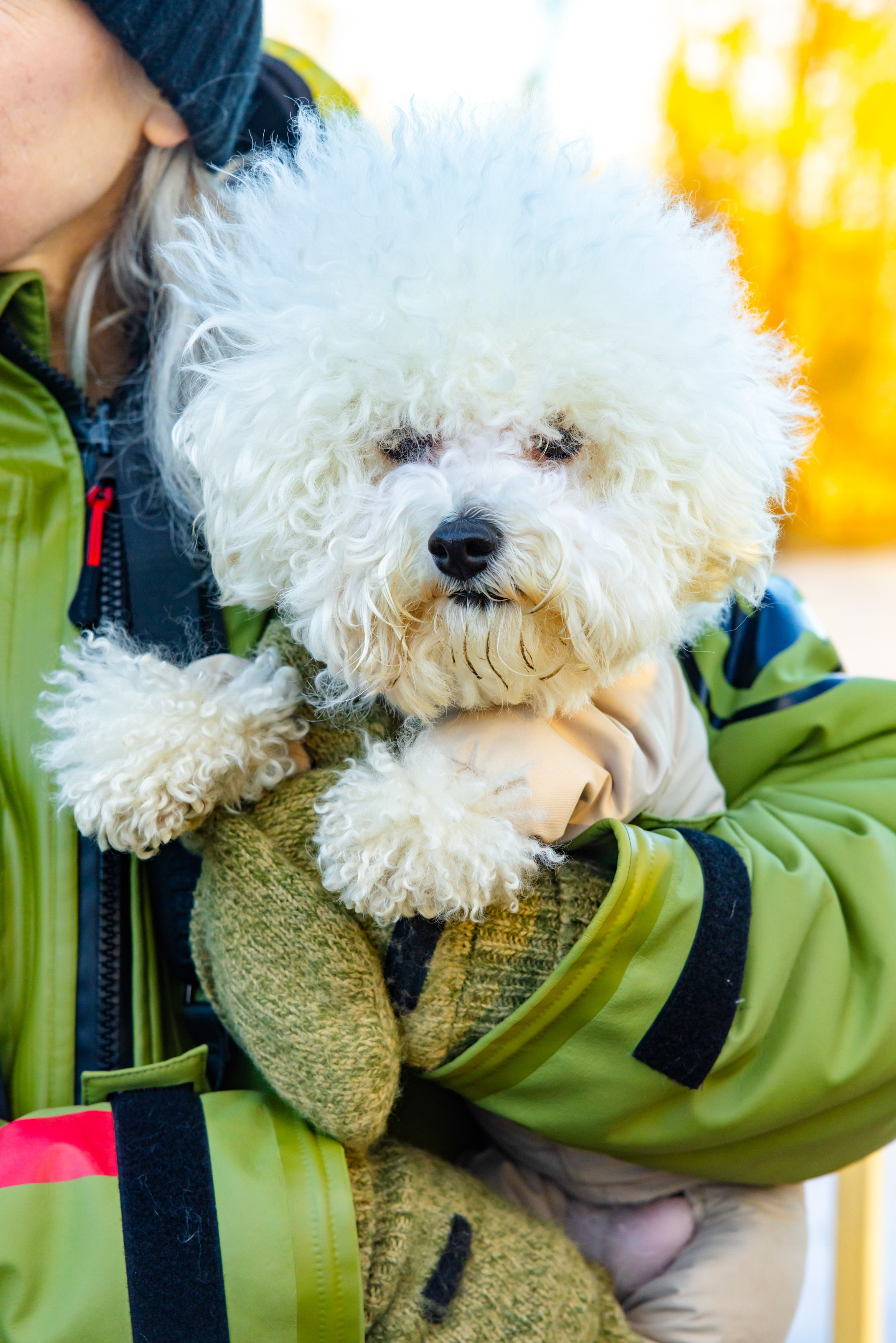 Клуб грумеров (прогулка и семинары). Виктория Зудина — фотограф в Москве