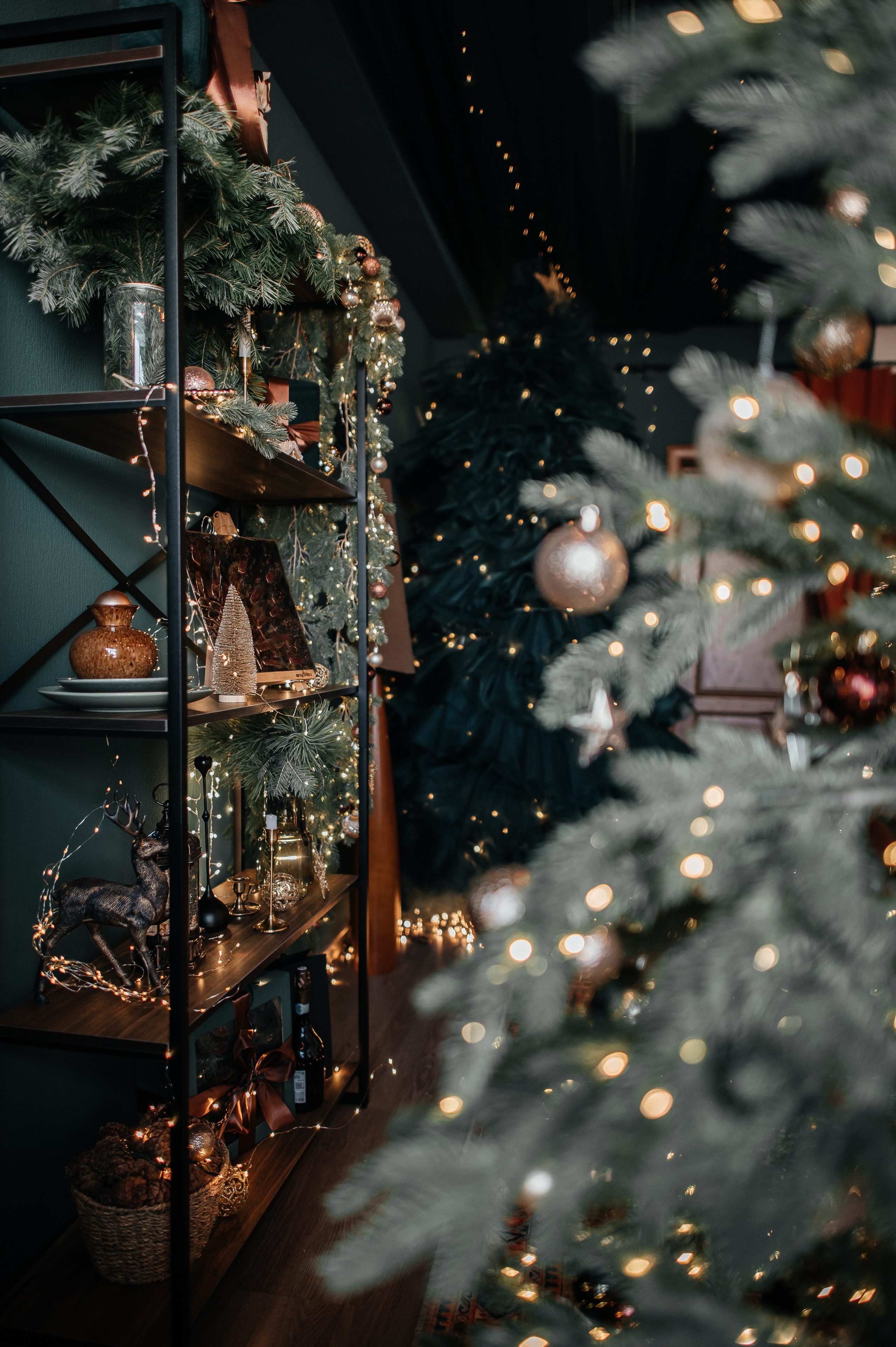 Look. Свадебный фотограф в новокузнецке