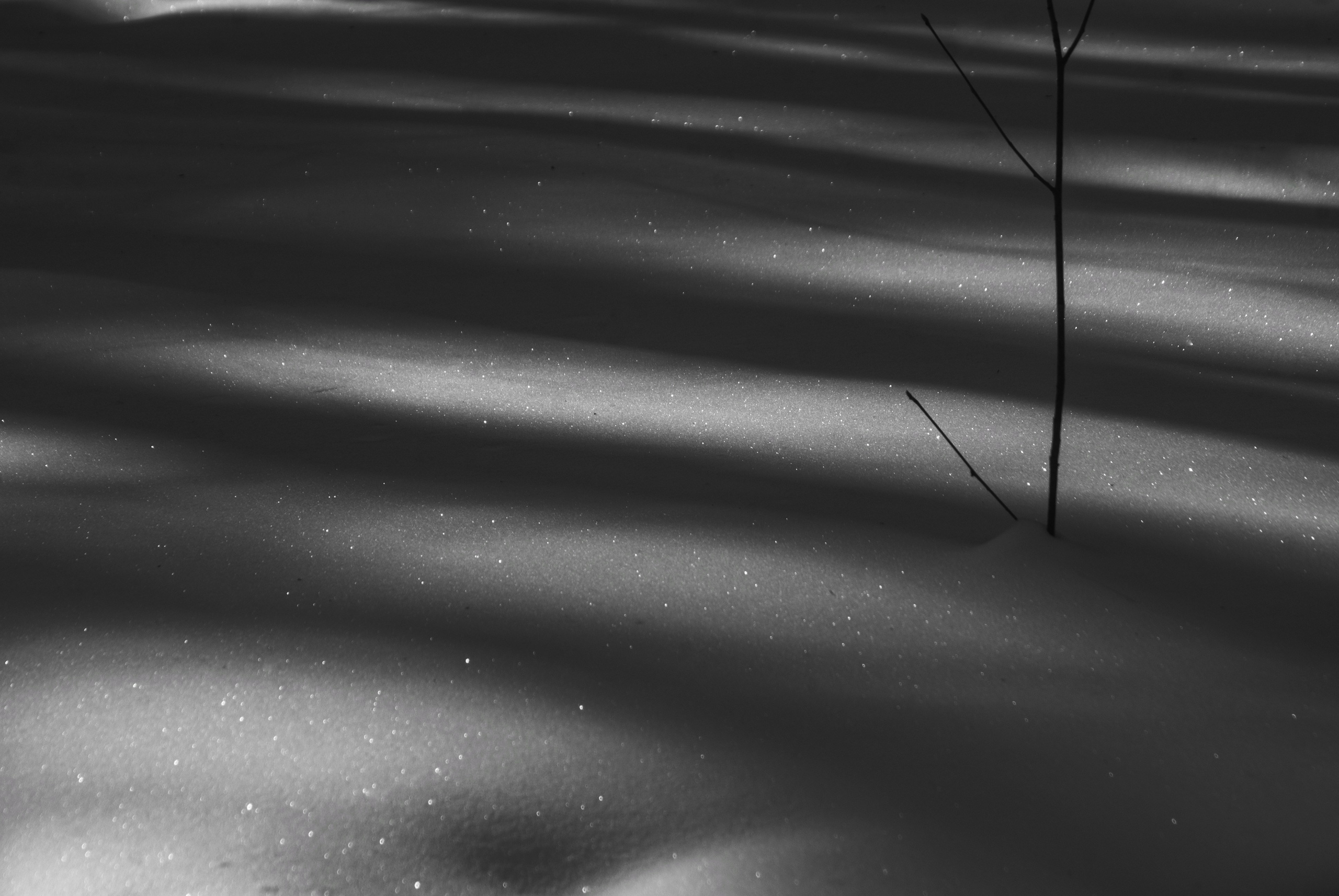 Внутривенные сны (2018-2023)