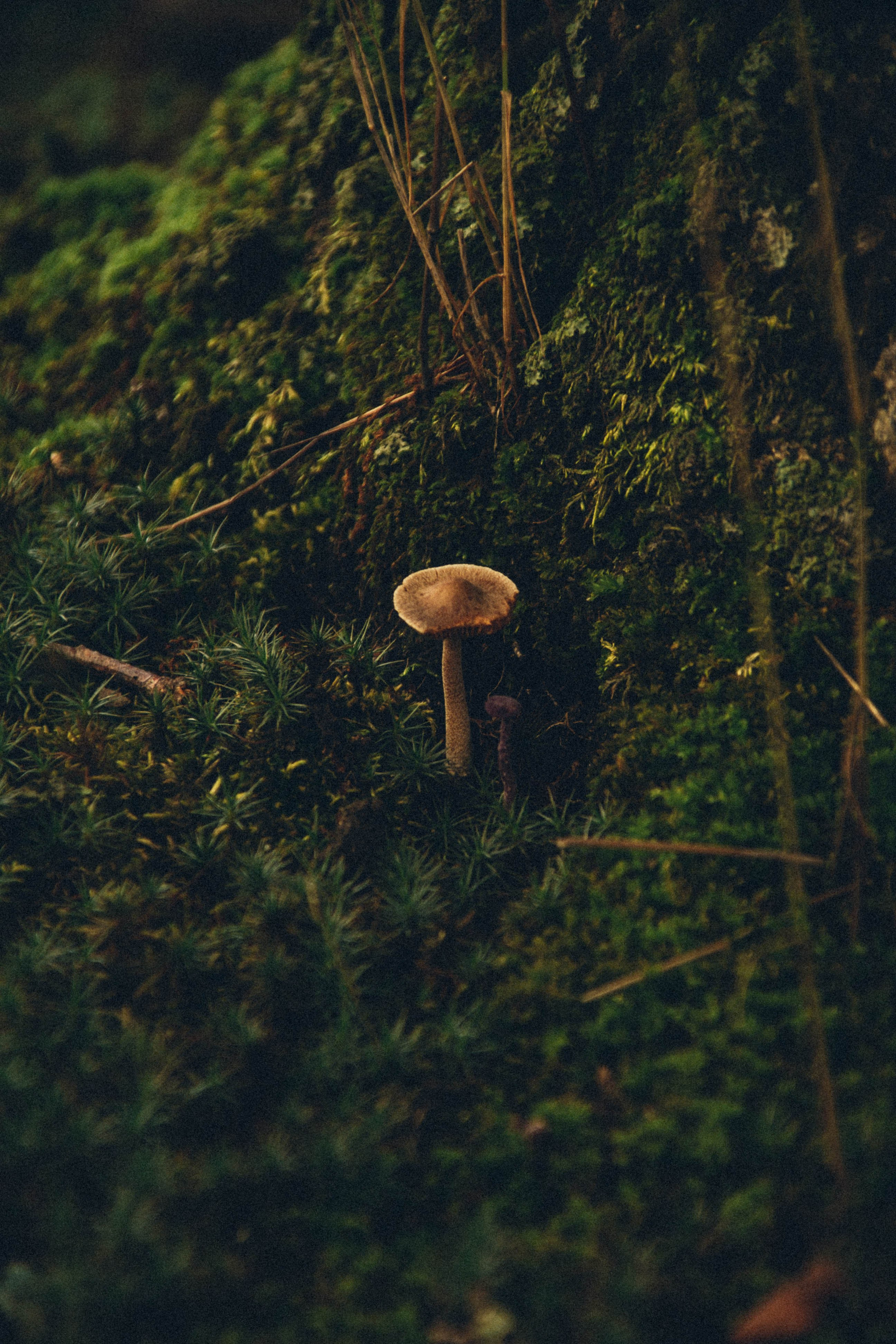 Природа. Darinishna Фэнтези-фотограф Хабаровск