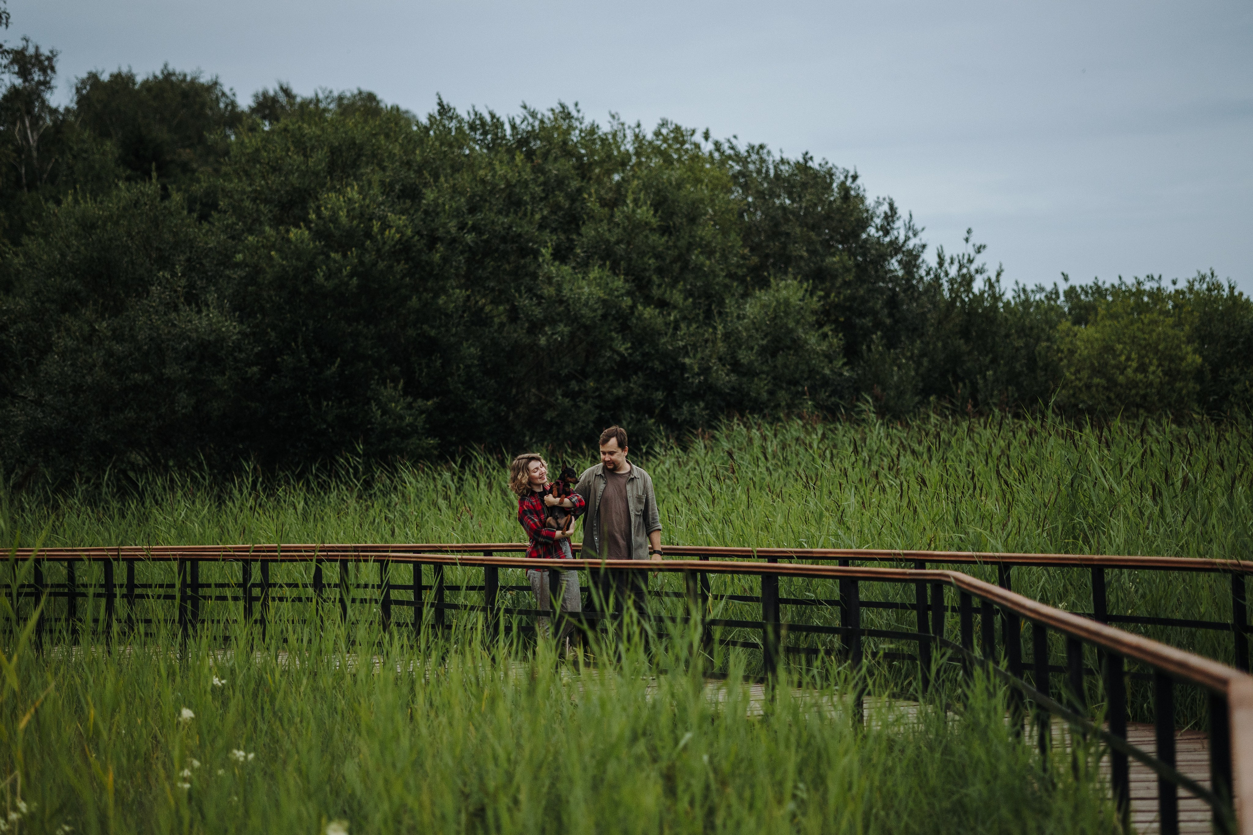 Сириус и его семья. Фотограф — Анималист | Санкт-Петербург