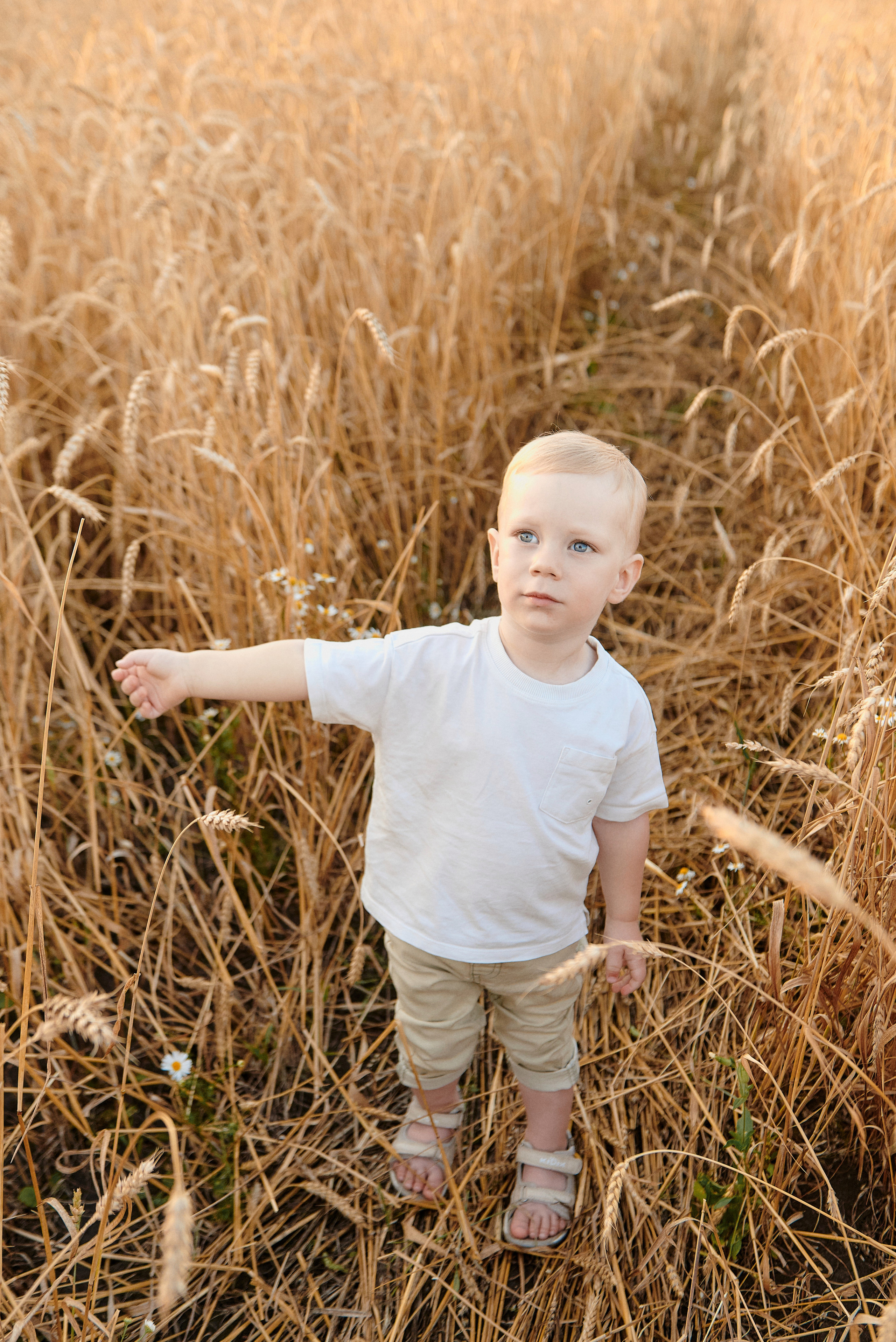 Небылицыны. Свадебный и семейный фотограф Петр Гатыло