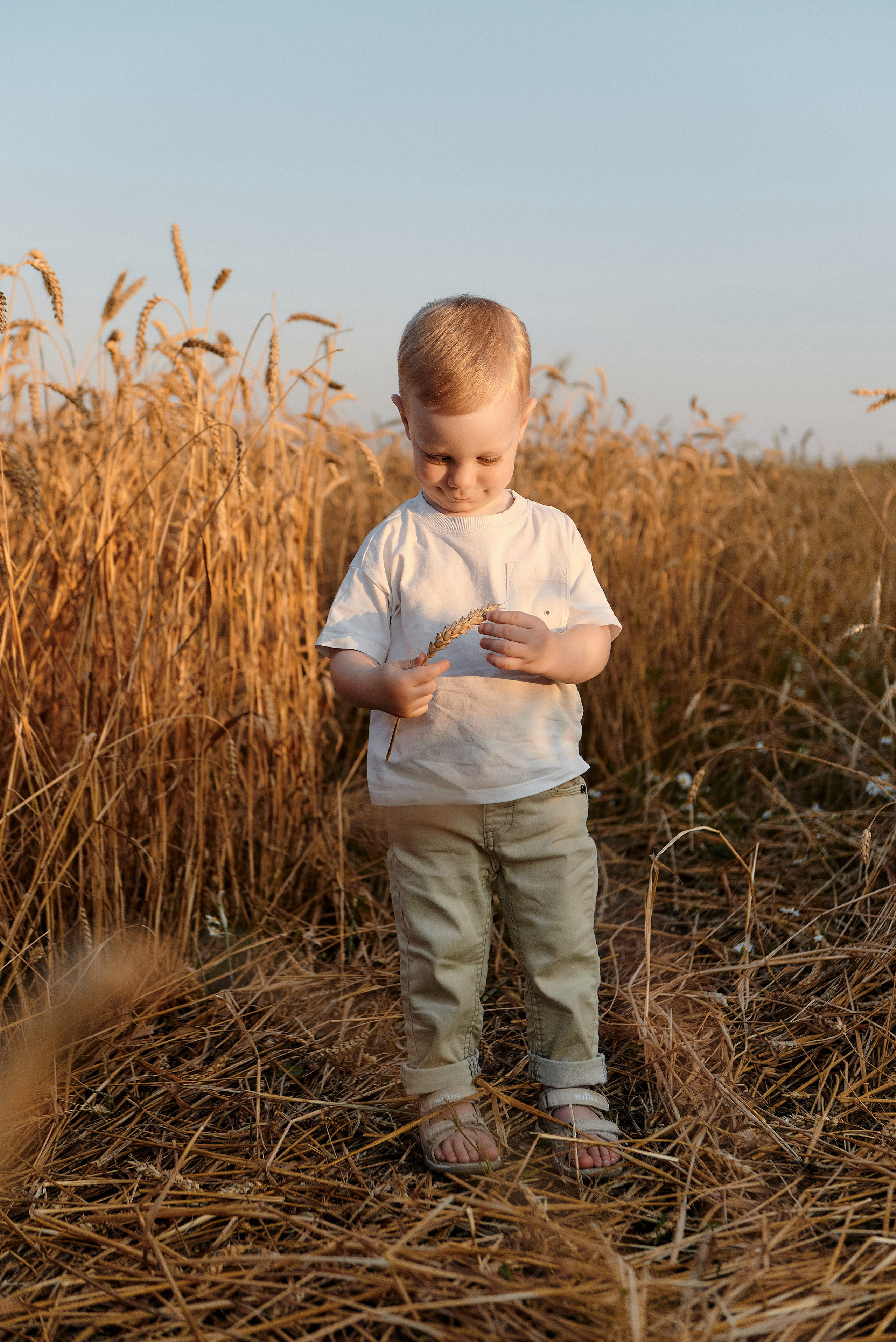 Небылицыны. Свадебный и семейный фотограф Петр Гатыло