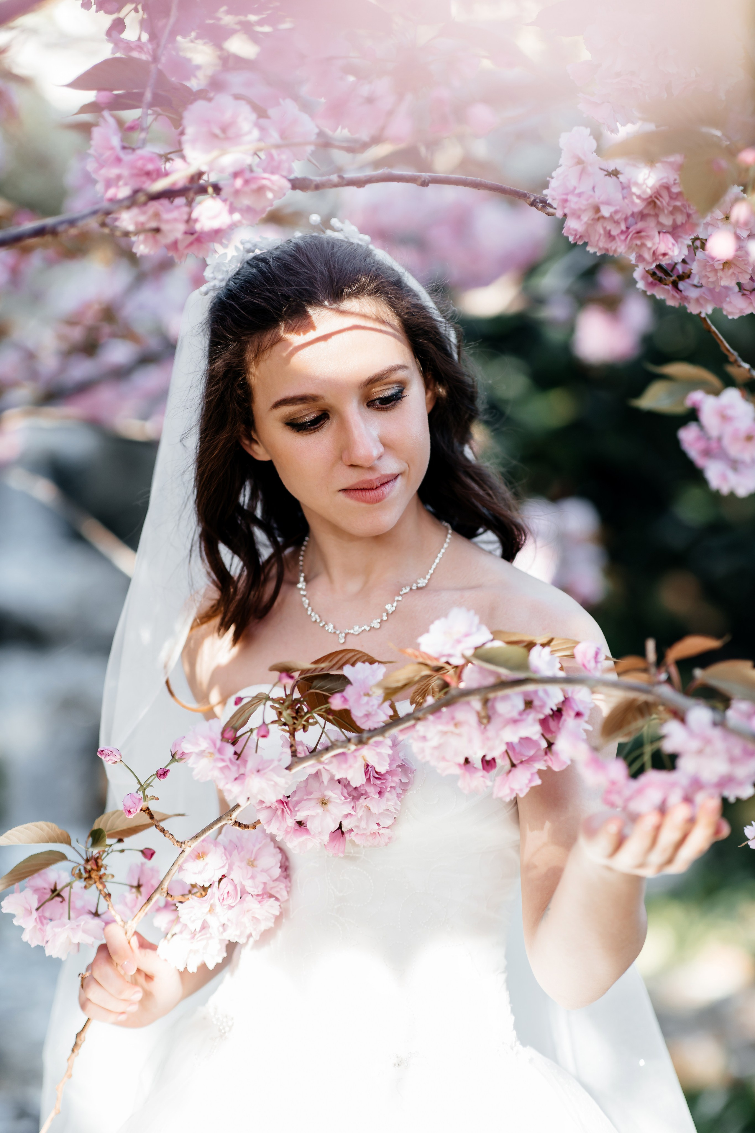 Сакура в Японском саду. Анонс свадьбы для Никиты и Марины. Свадебный фотограф в Крыму и Севастополе Ольга Баскакова