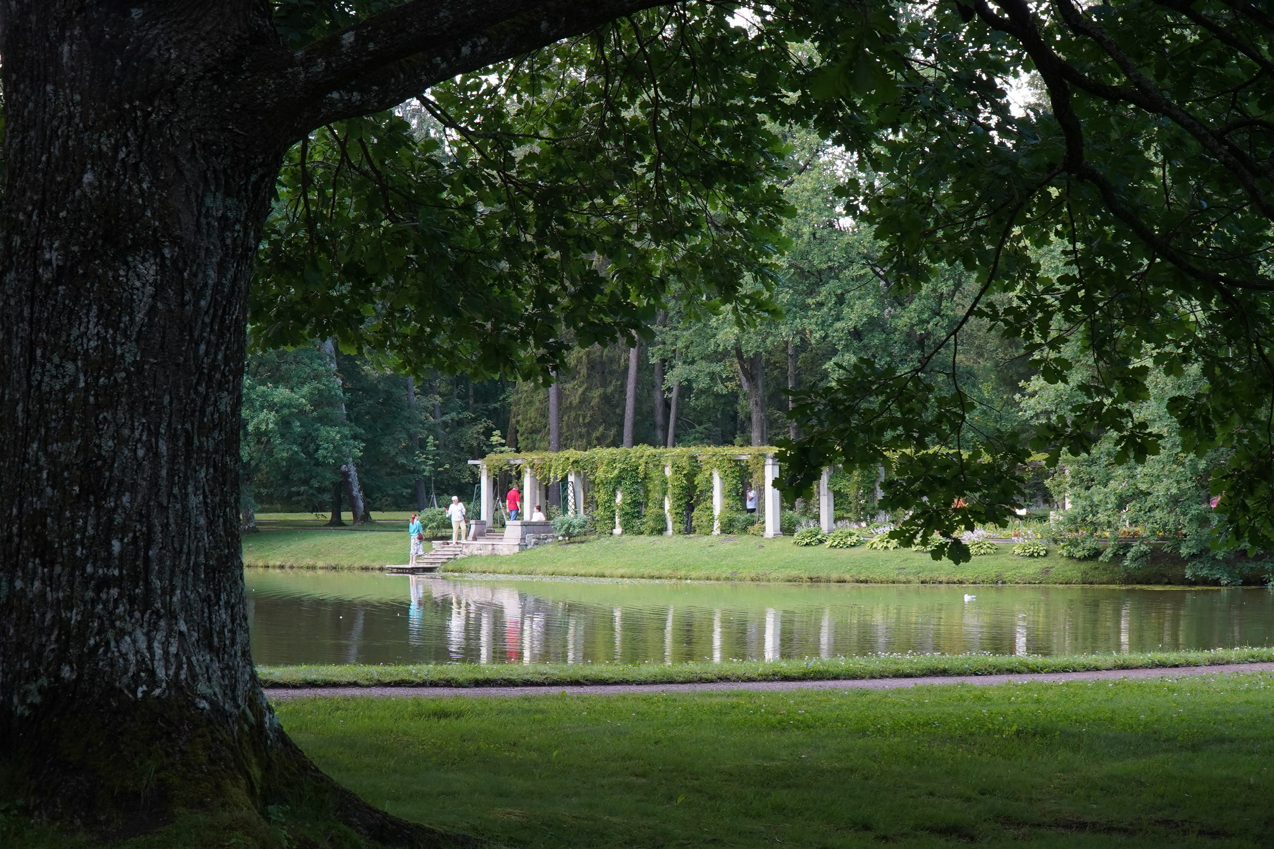 ОРАНИЕНБАУМ. Июль 2024. Фотограф Наталья Погодина в г. Обнинске