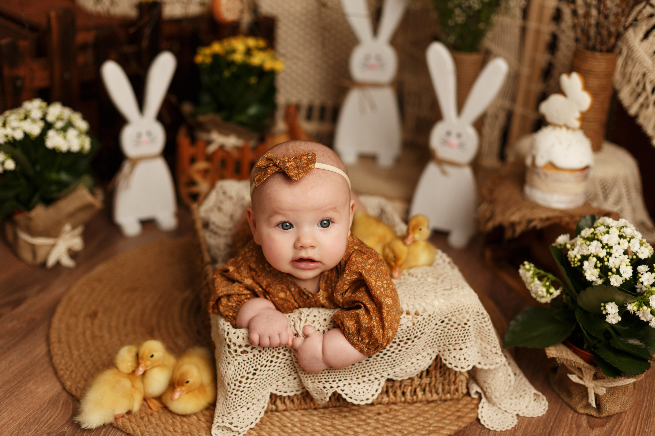 Фотопроекты. Фотограф новорождённых семейный фотограф Томск Елена Каплина