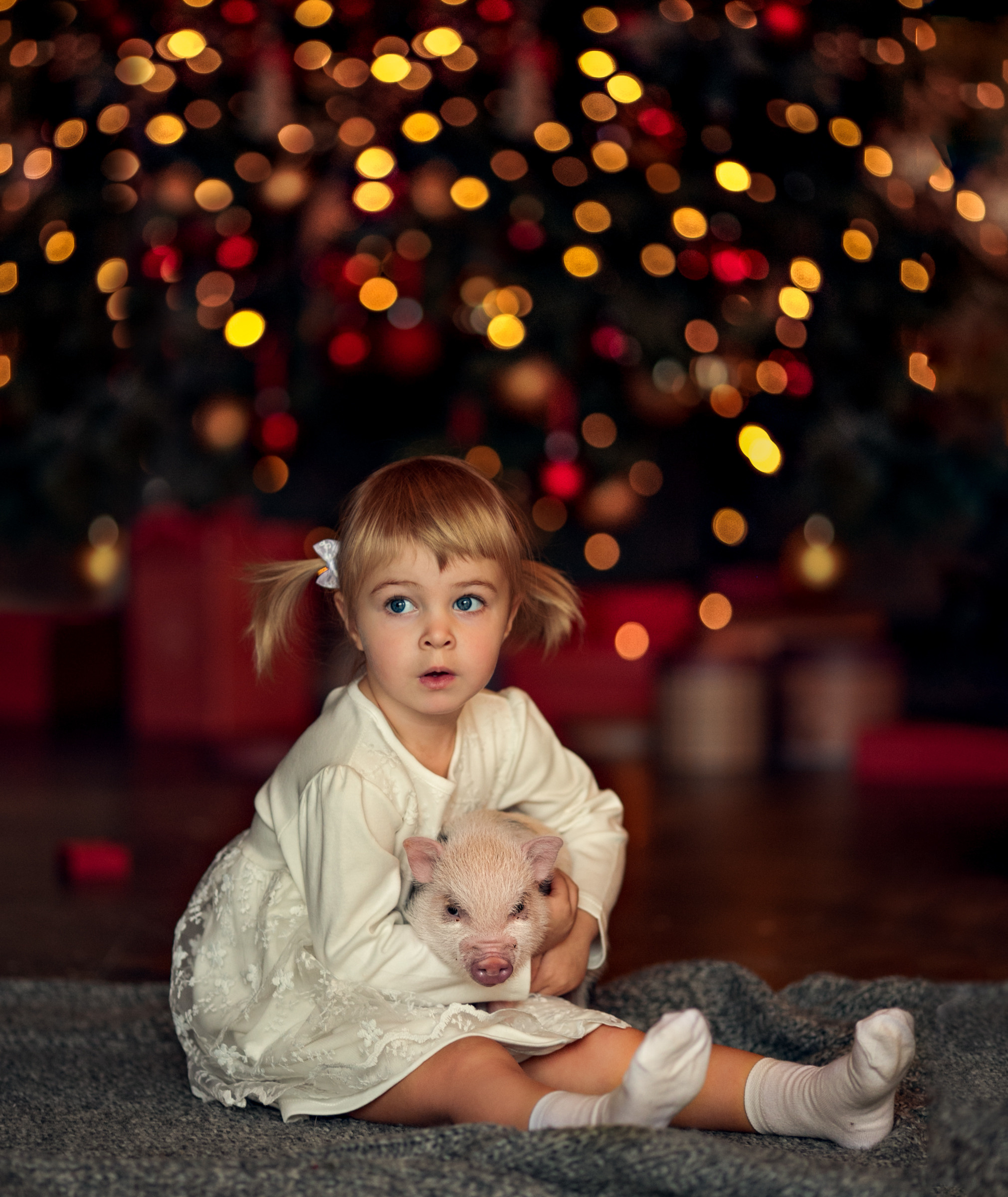 Разные животные. Профессиональный фотограф в Москве Марина Григорьева