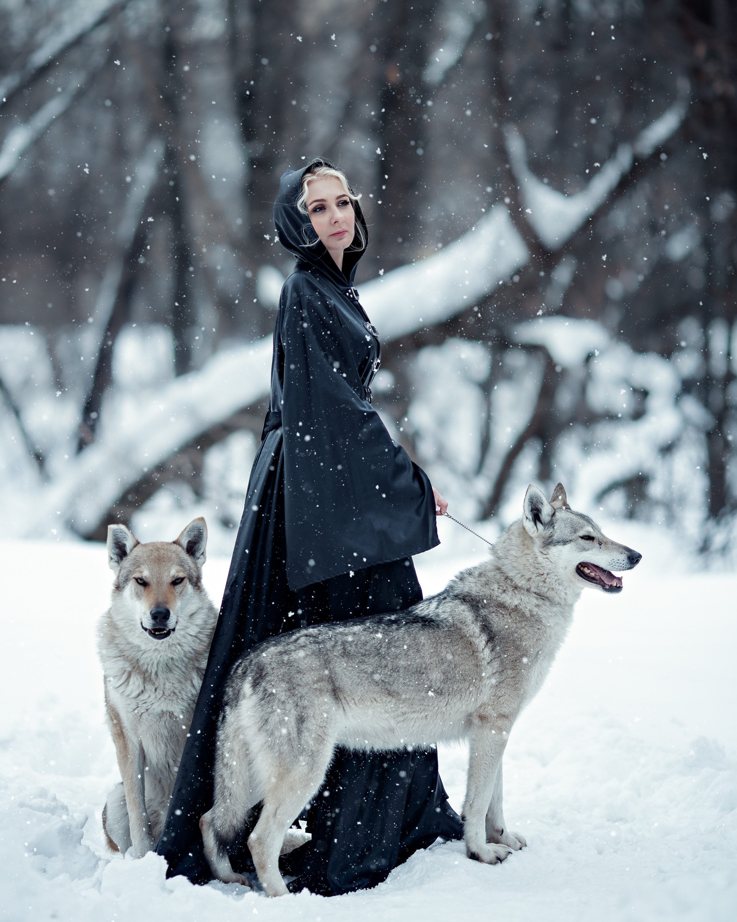 Волки. Профессиональный фотограф в Москве Марина Григорьева