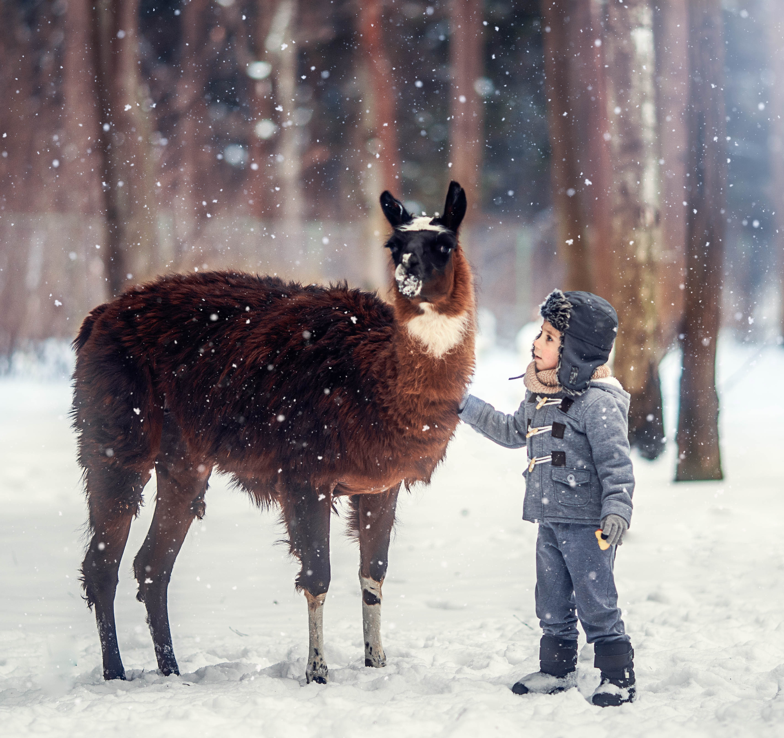 Разные животные. Профессиональный фотограф в Москве Марина Григорьева